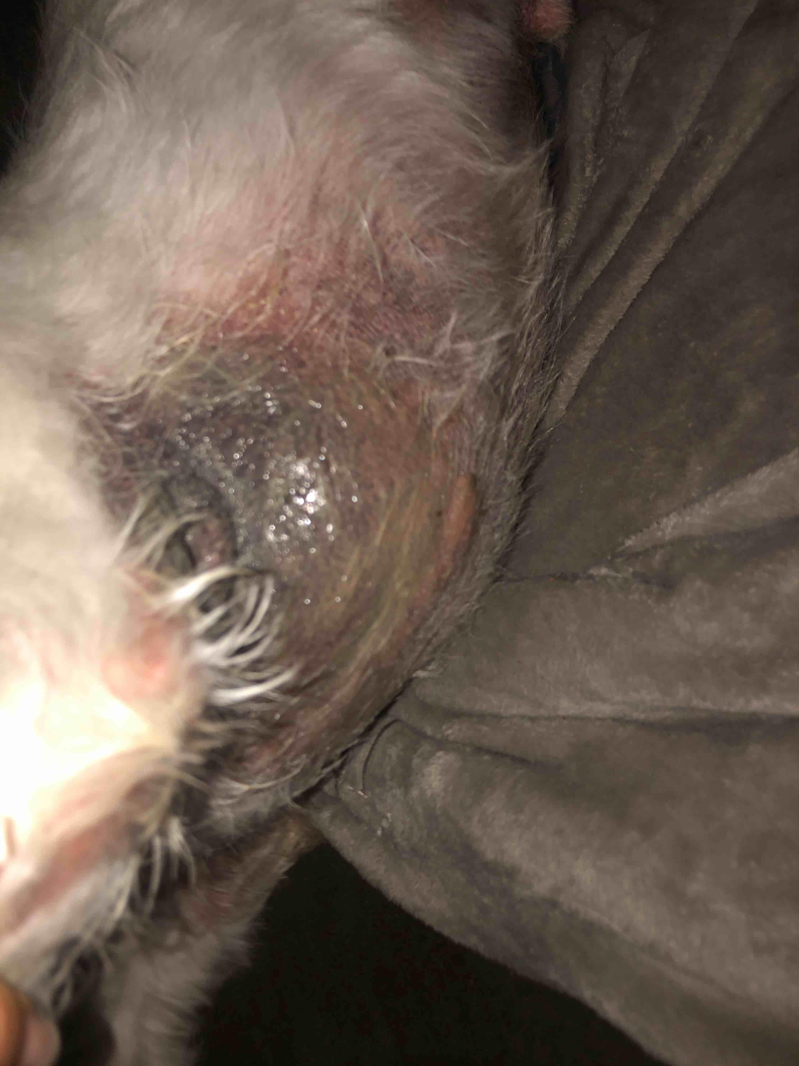 Question details sensitive content