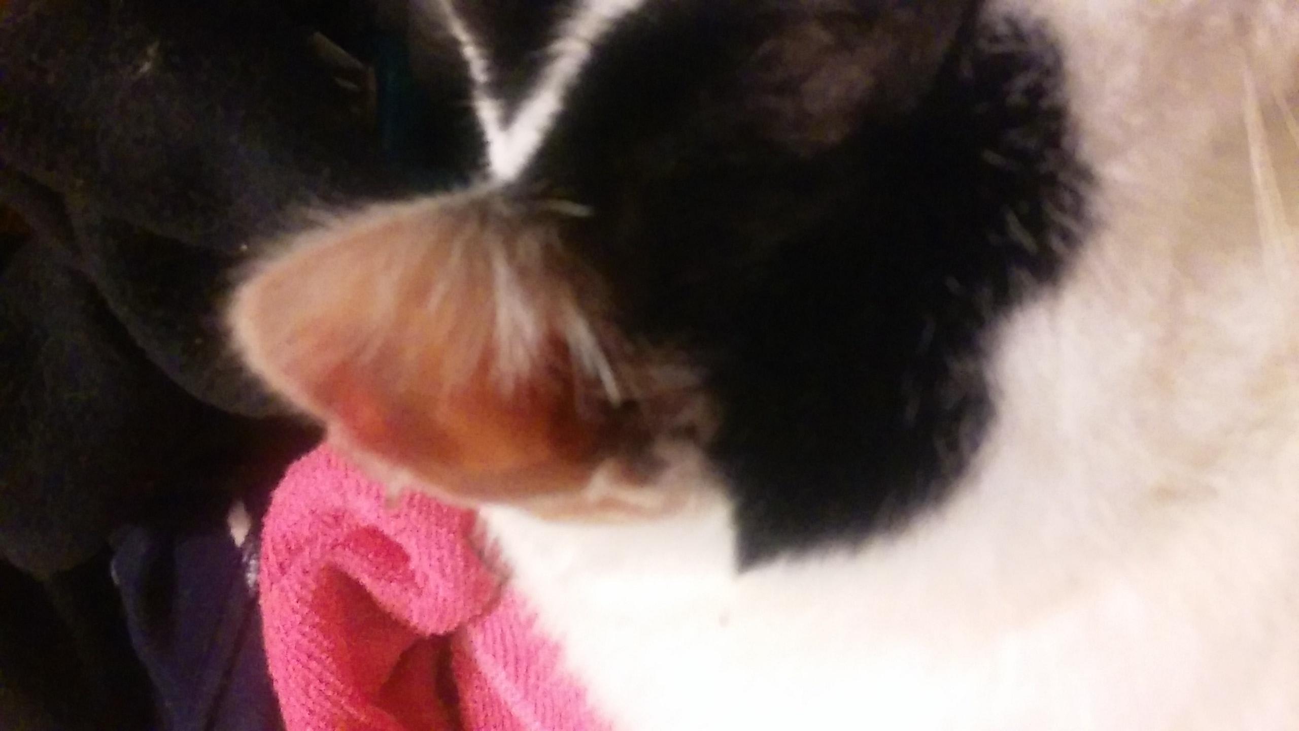 Question details sensitive content