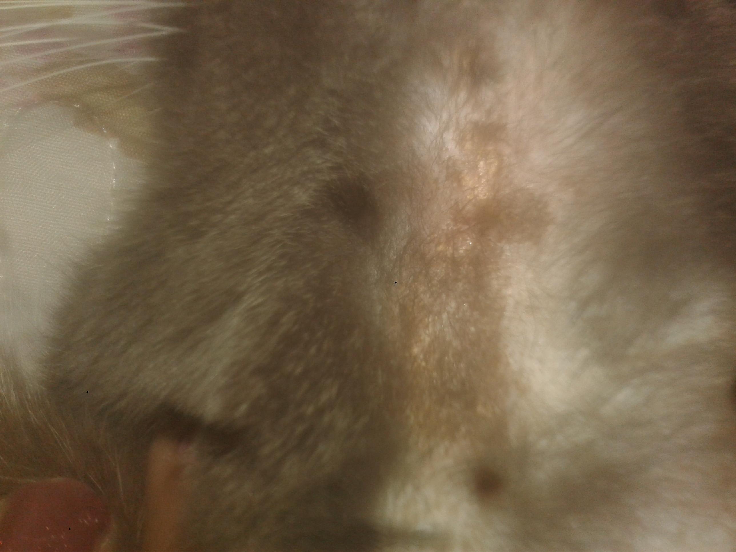 Question details sensitive content