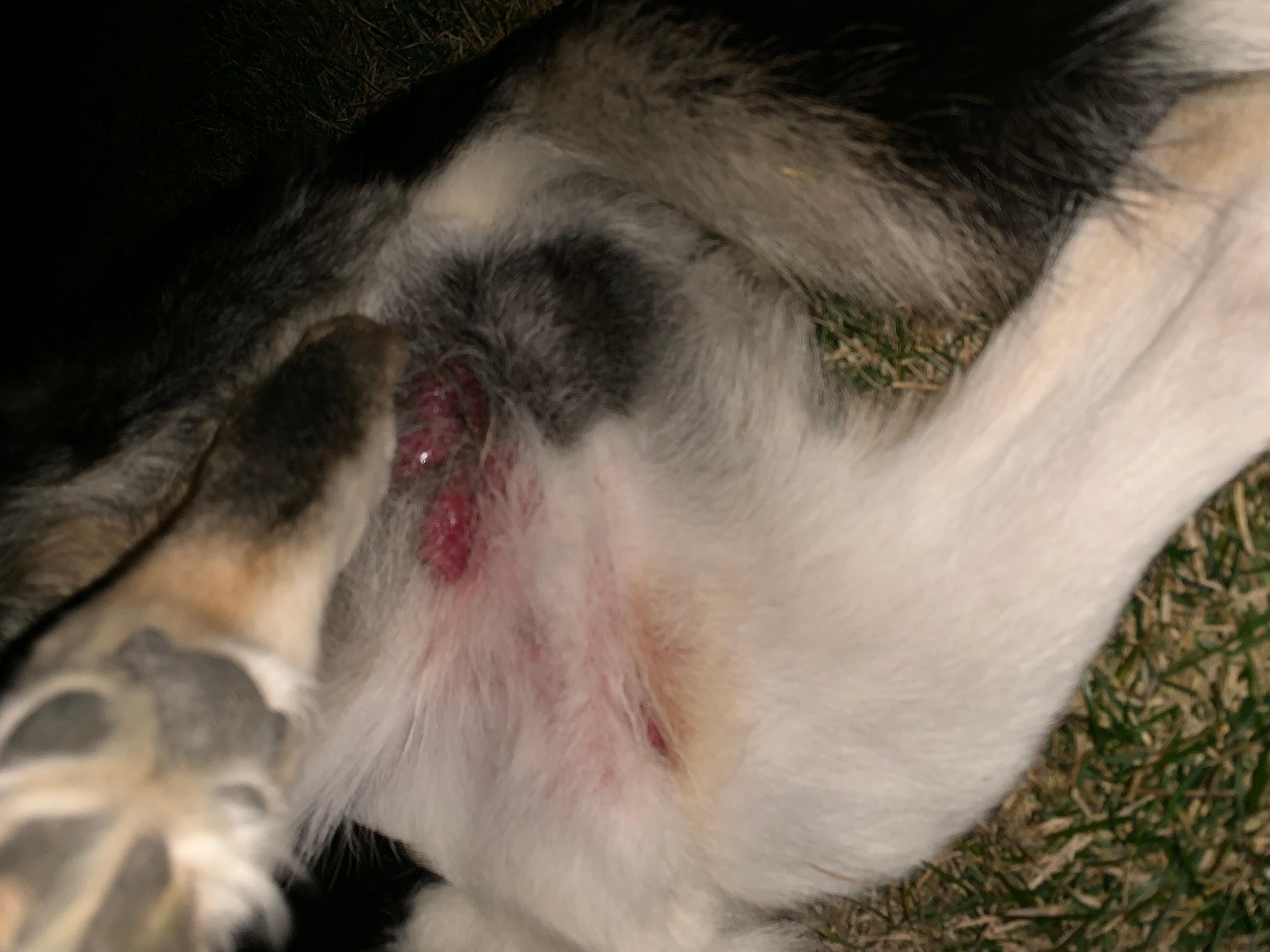 Question details sensitive content