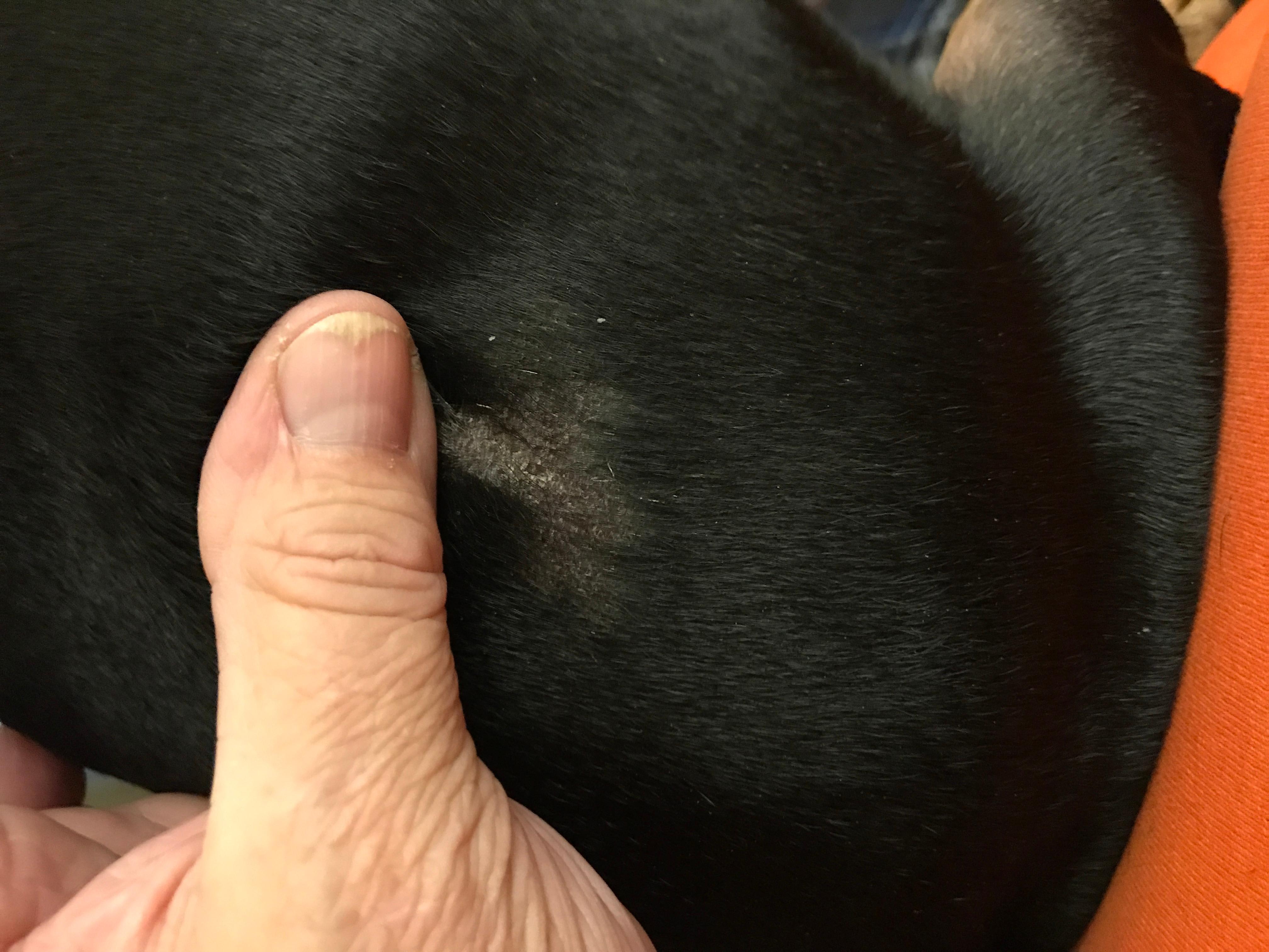 Question details sensitive content