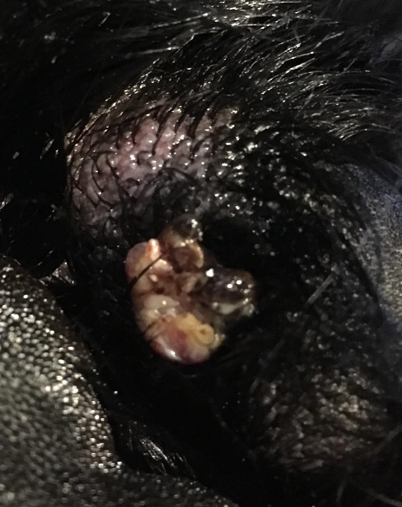 Question details sensitive content