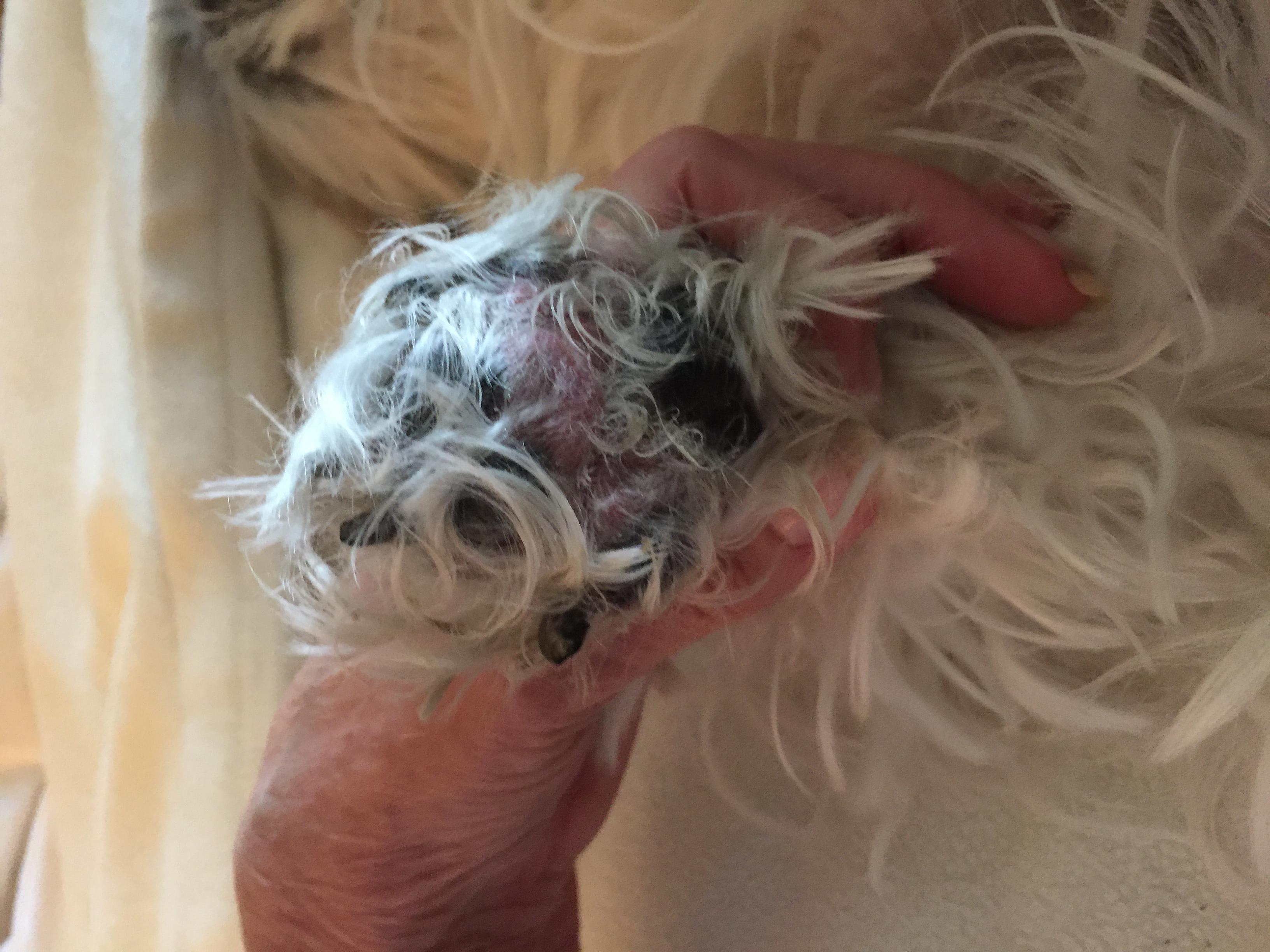 Question details sensitive content