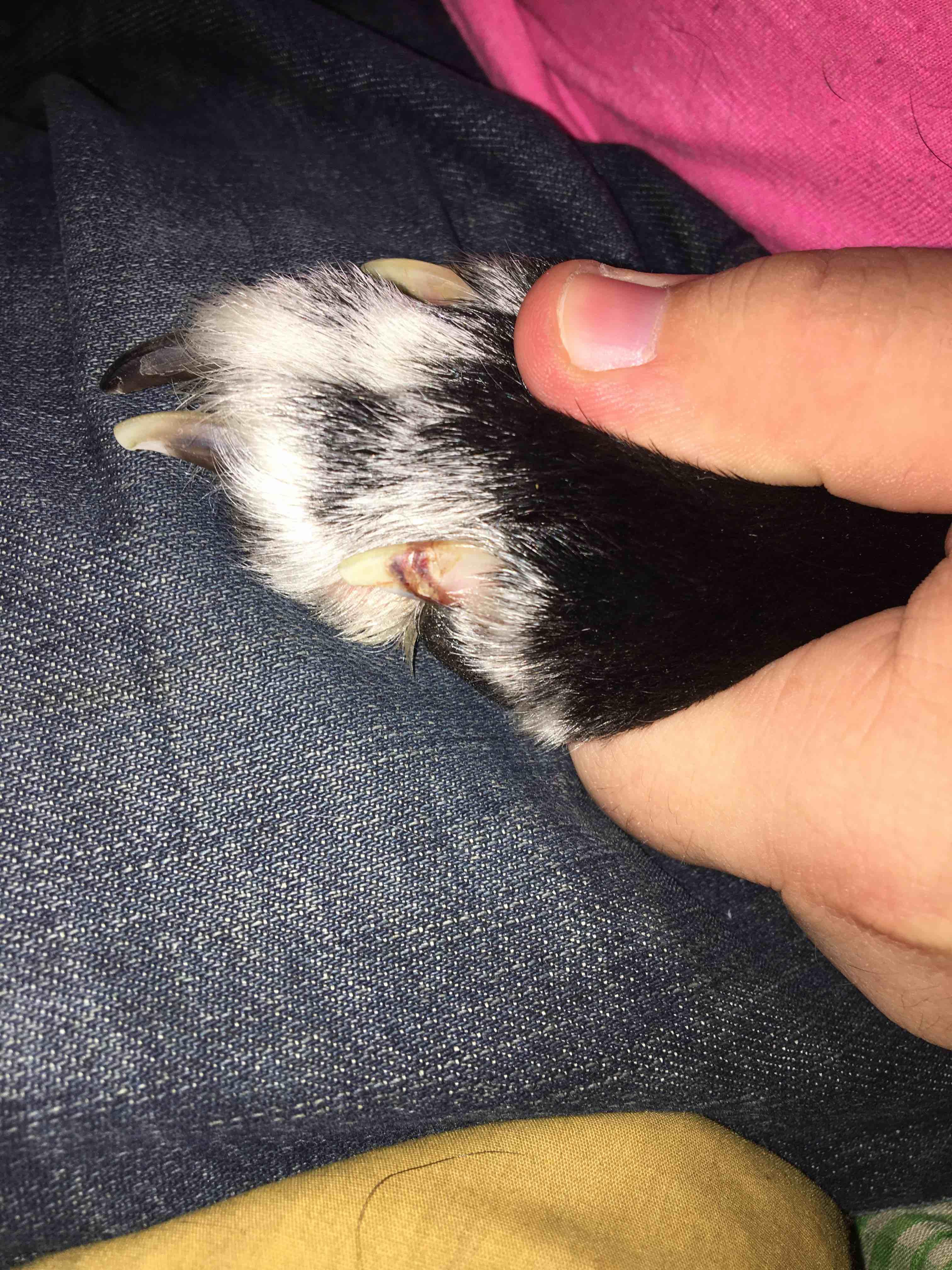 Question details sensitive content