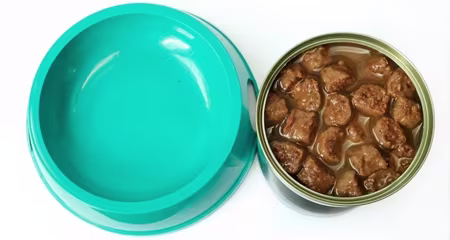 There's no evidence that dry food is better for your cat's teeth than canned food