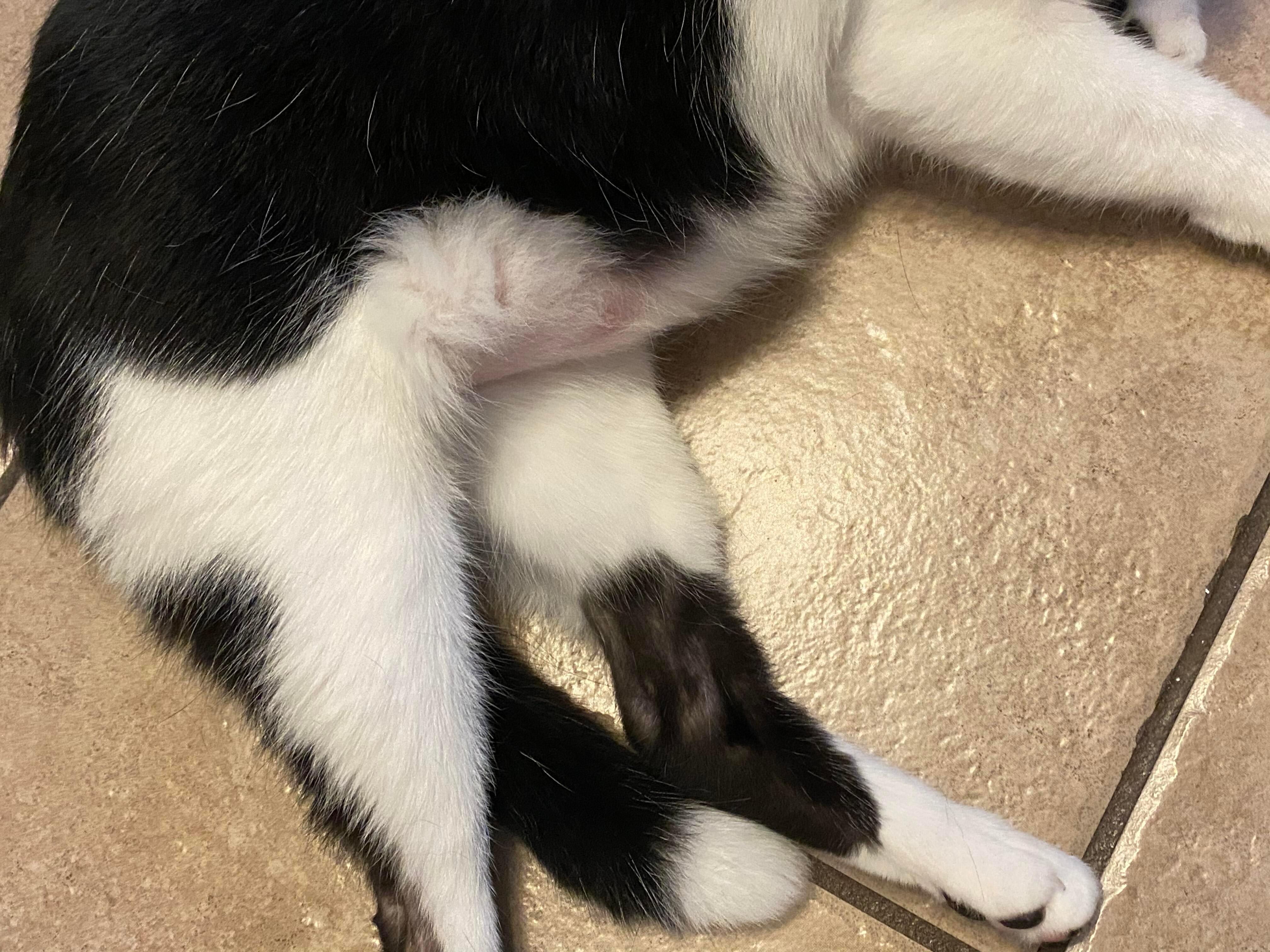 Question details sensitive content