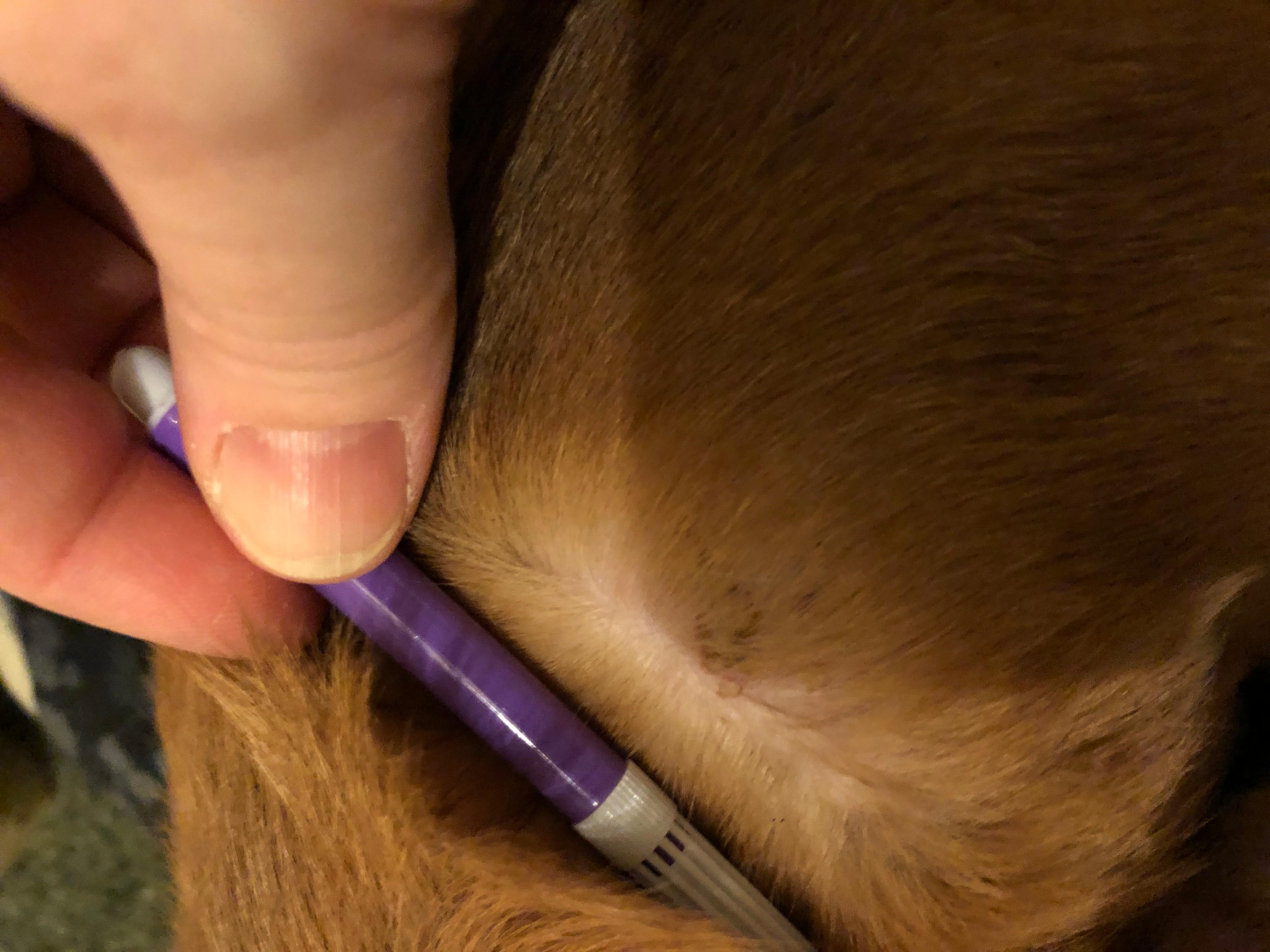 Question details sensitive content