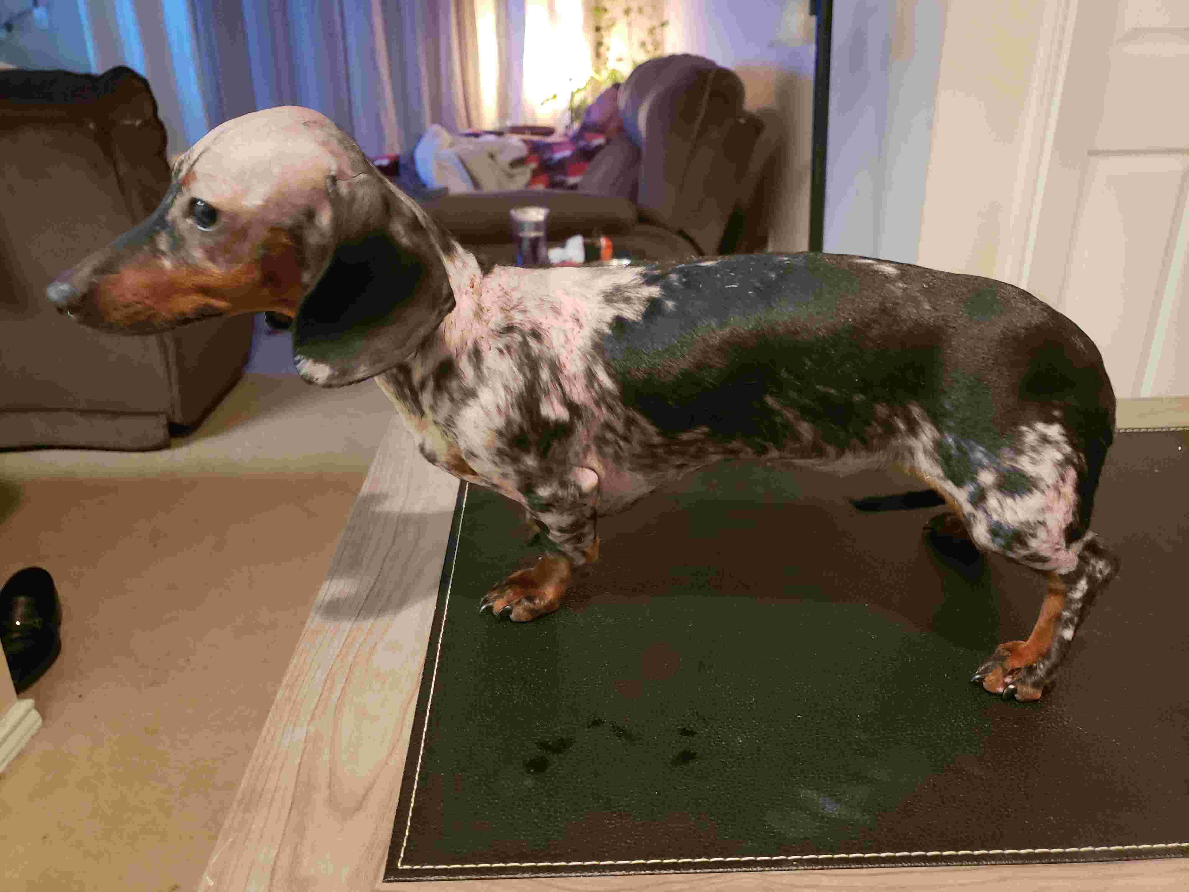 Question details sensitive content