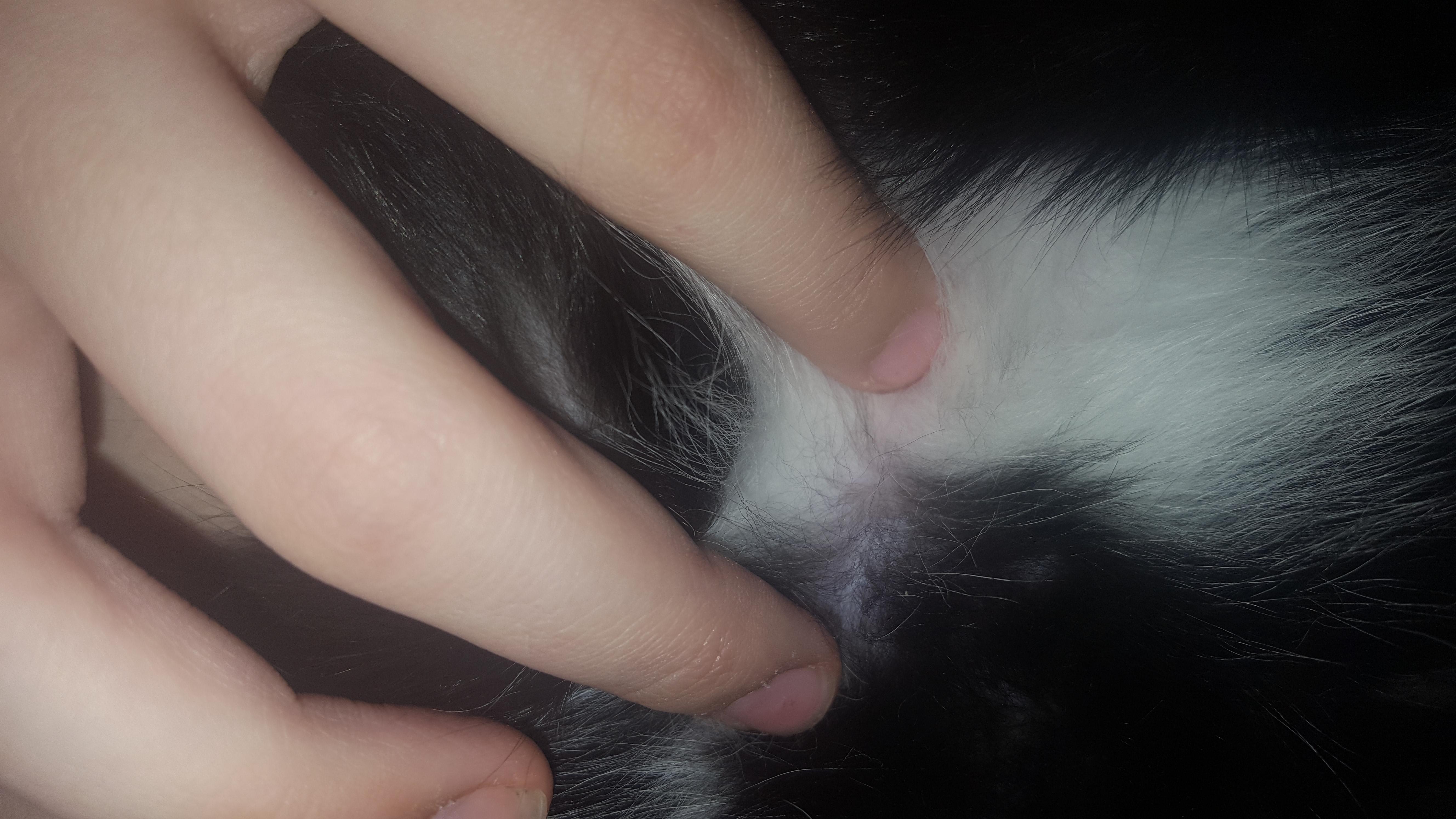 Question details sensitive content