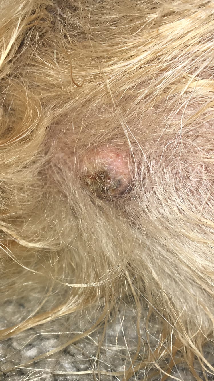 Question details sensitive content