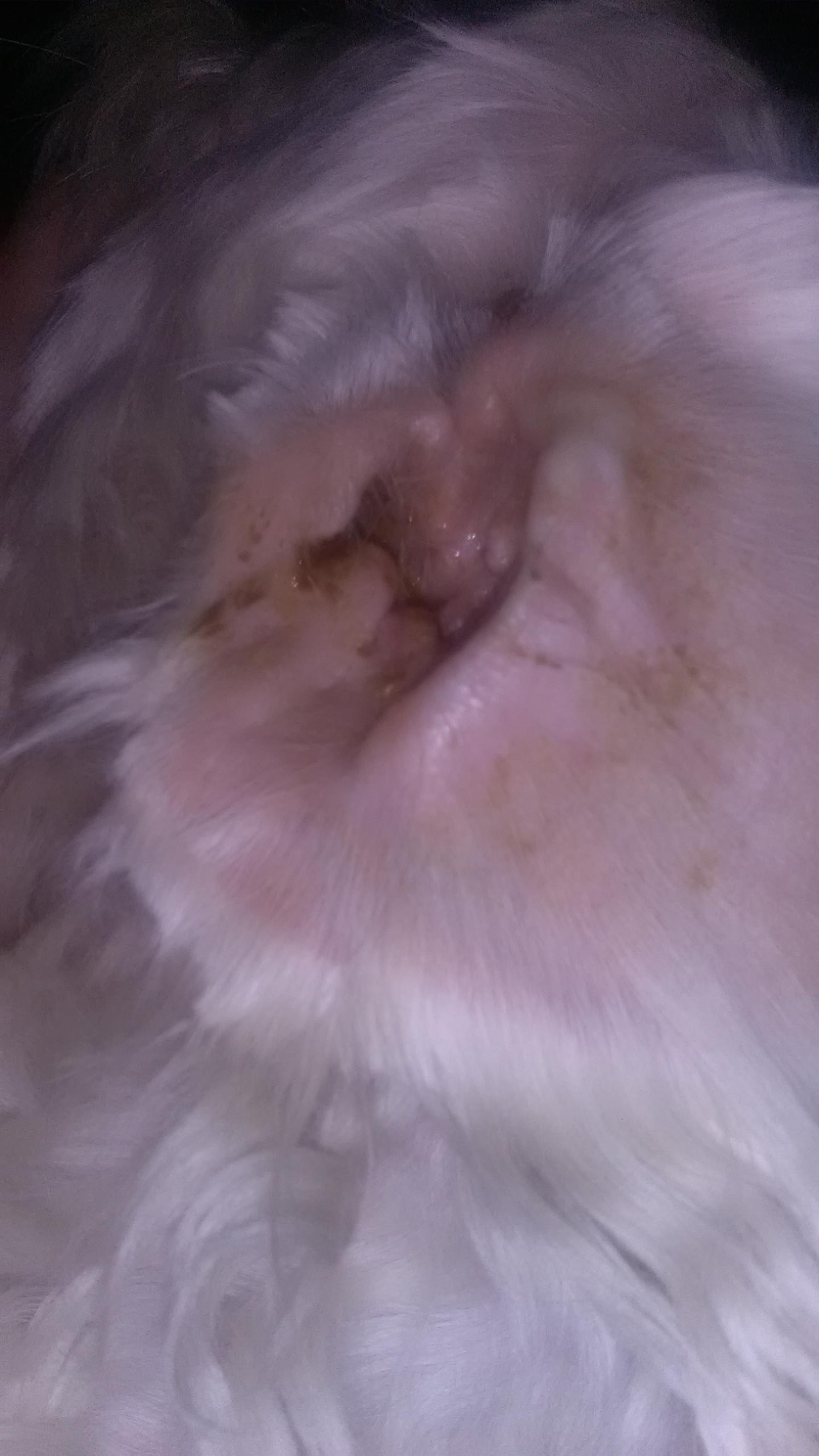 Question details sensitive content