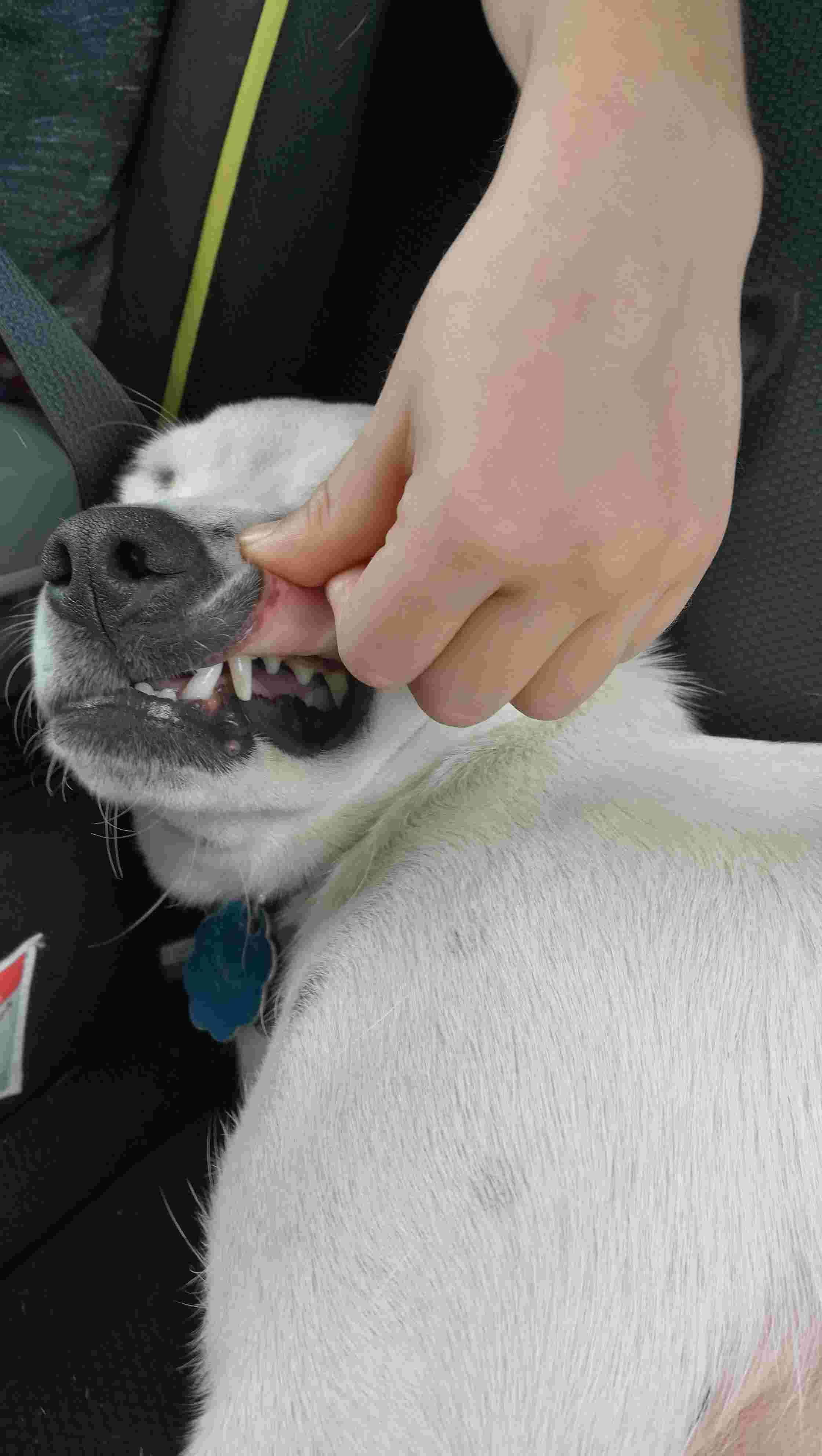 Question details sensitive content