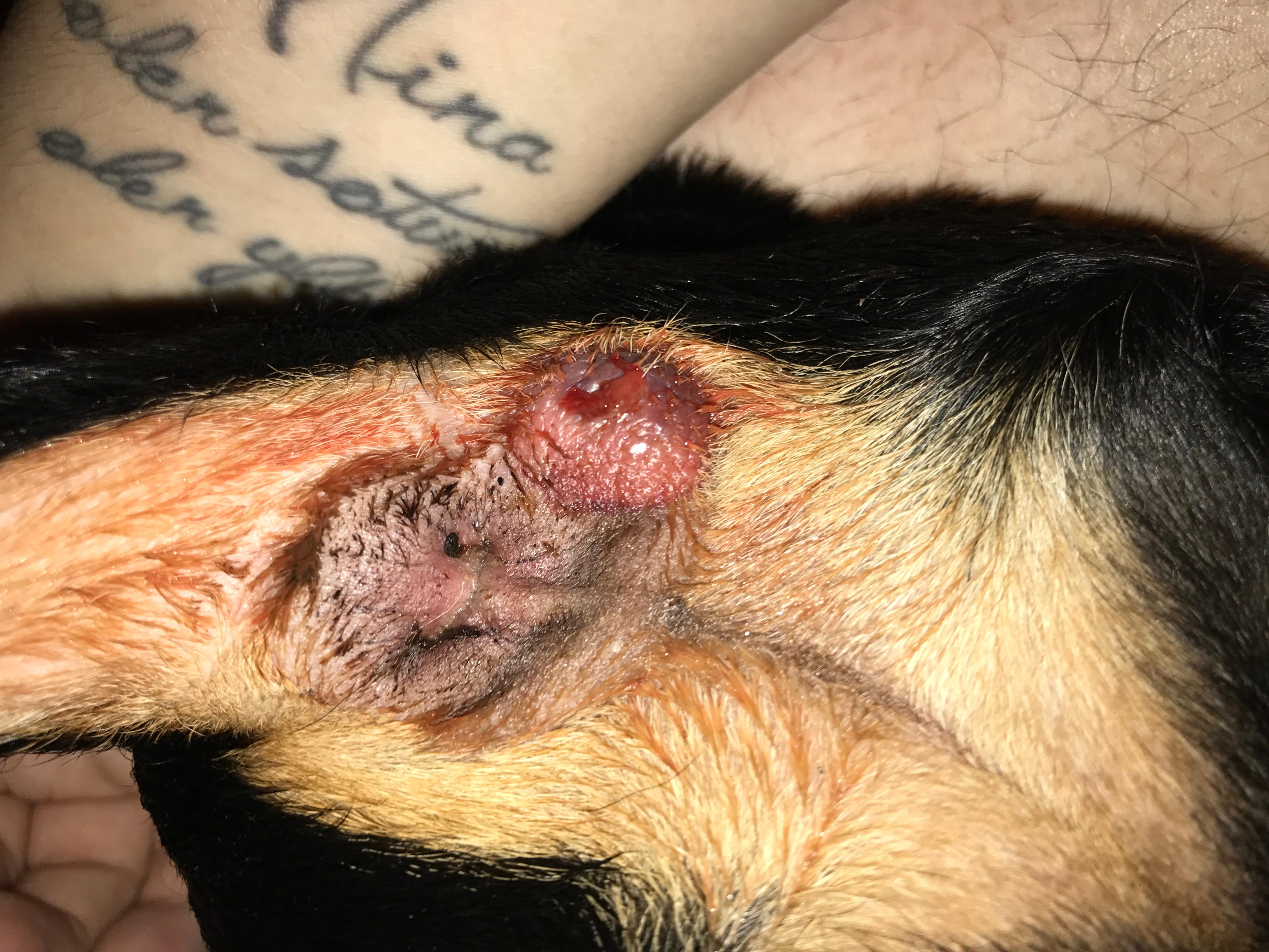 Question details sensitive content