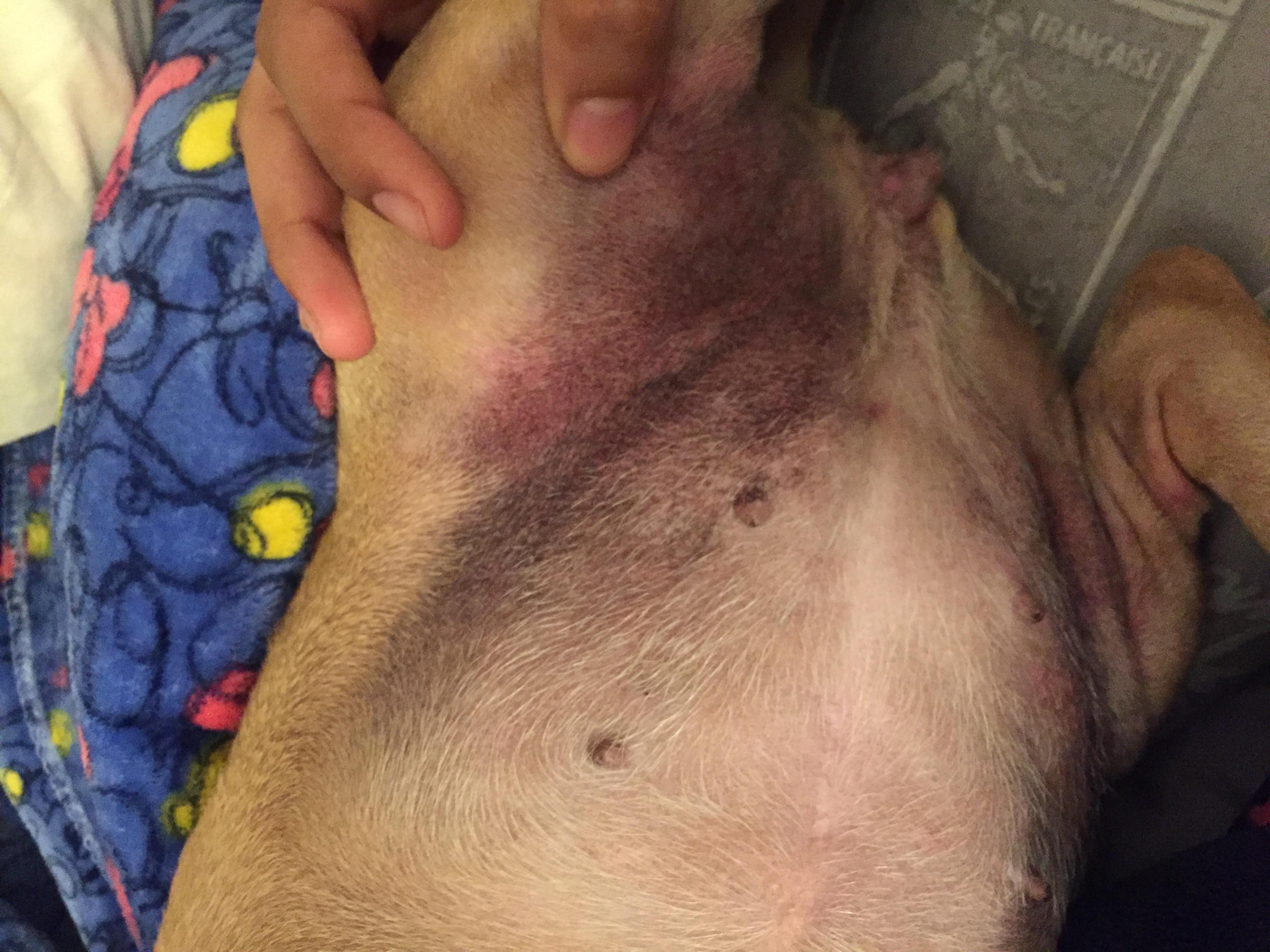 Question details sensitive content