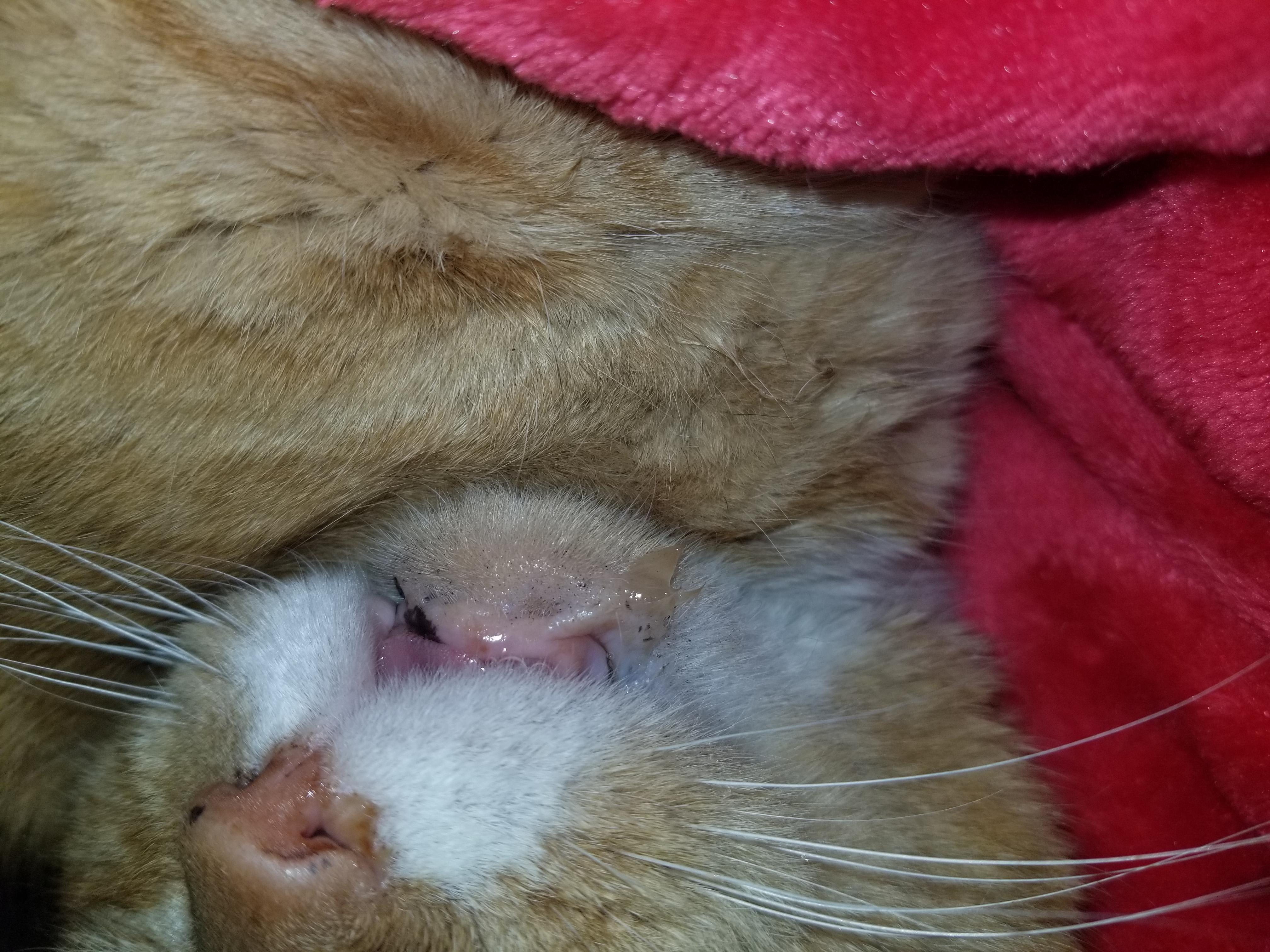 Question details sensitive content