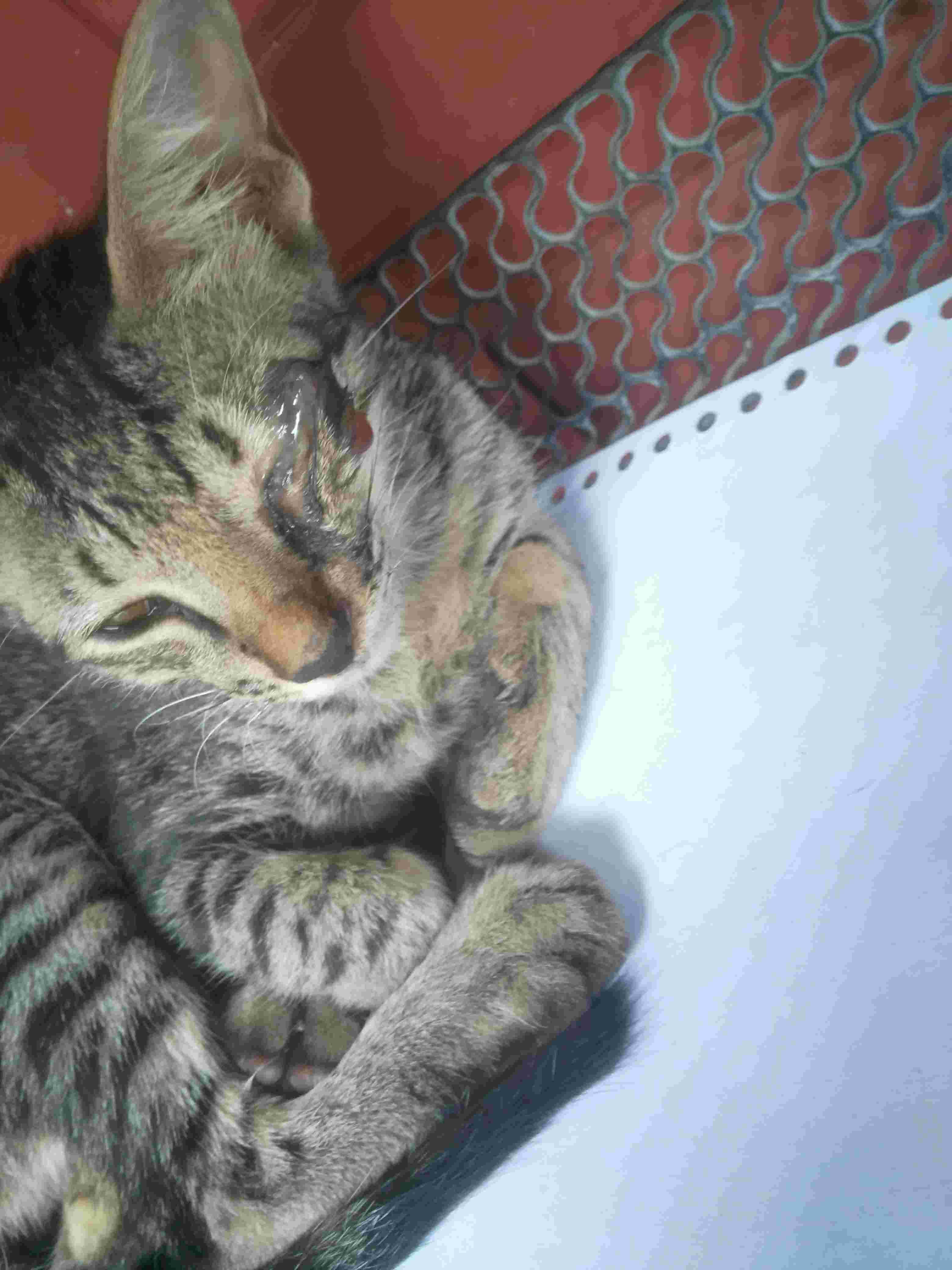 Question details sensitive content