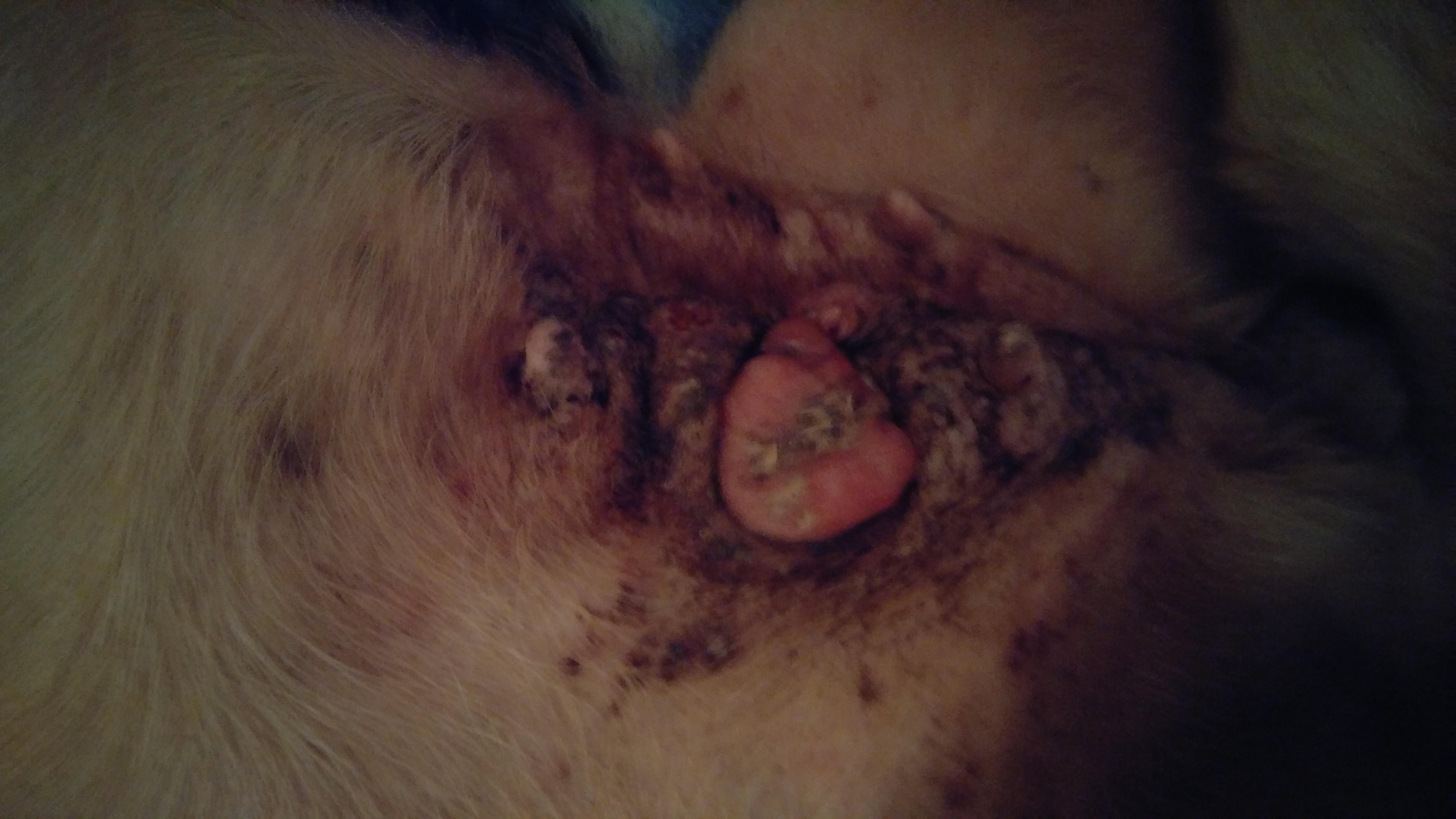 Question details sensitive content