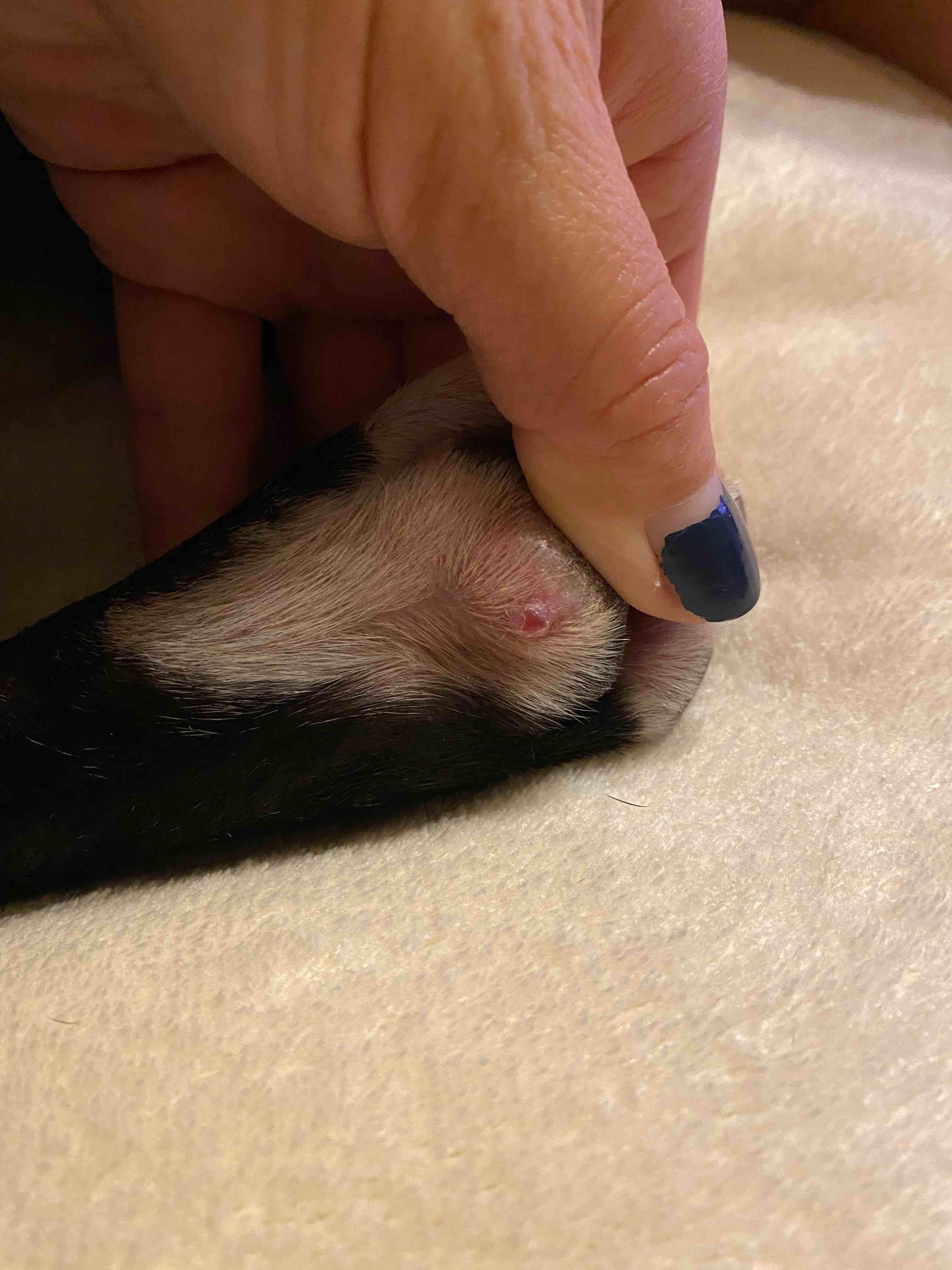 Question details sensitive content