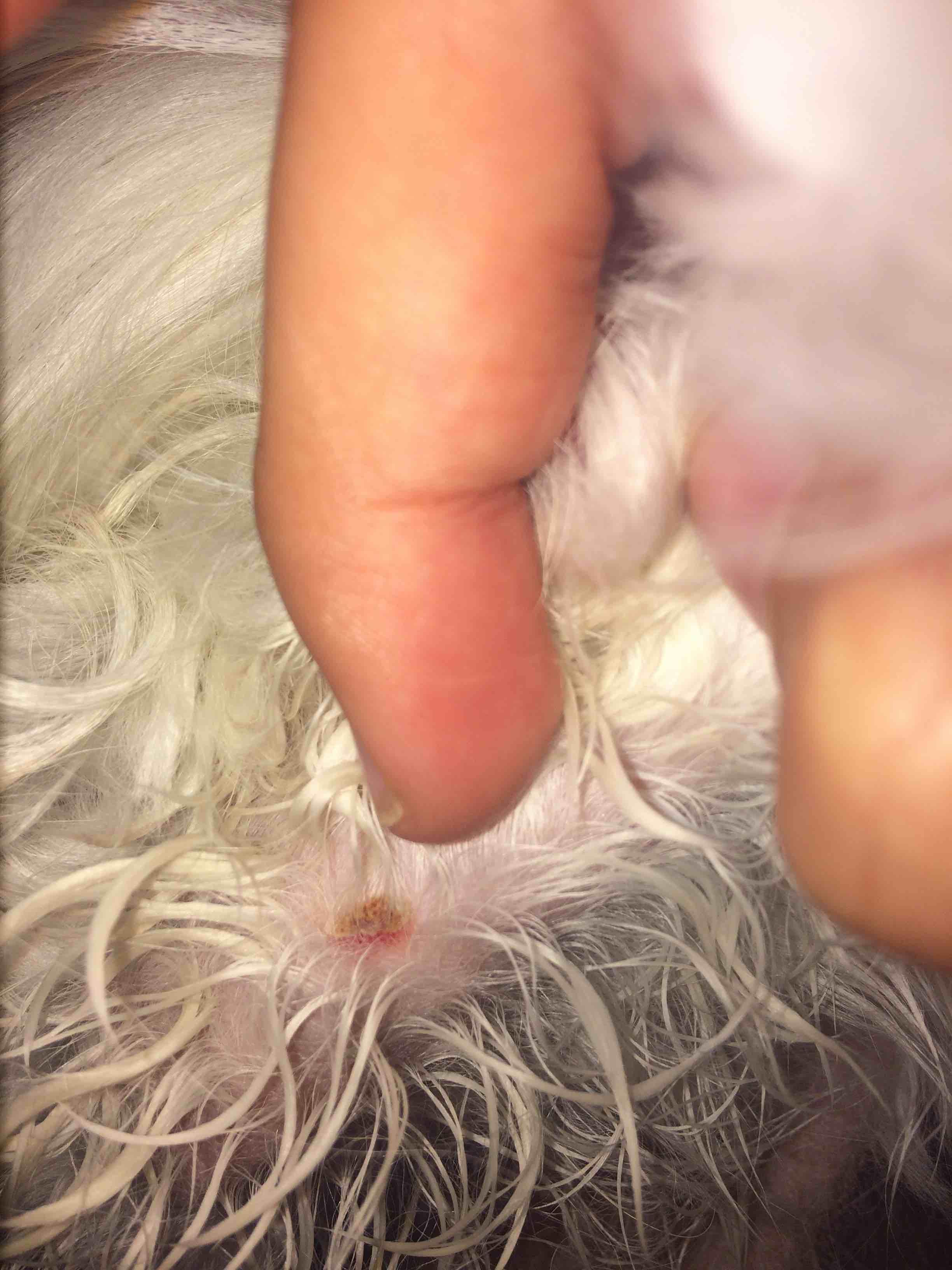 Question details sensitive content