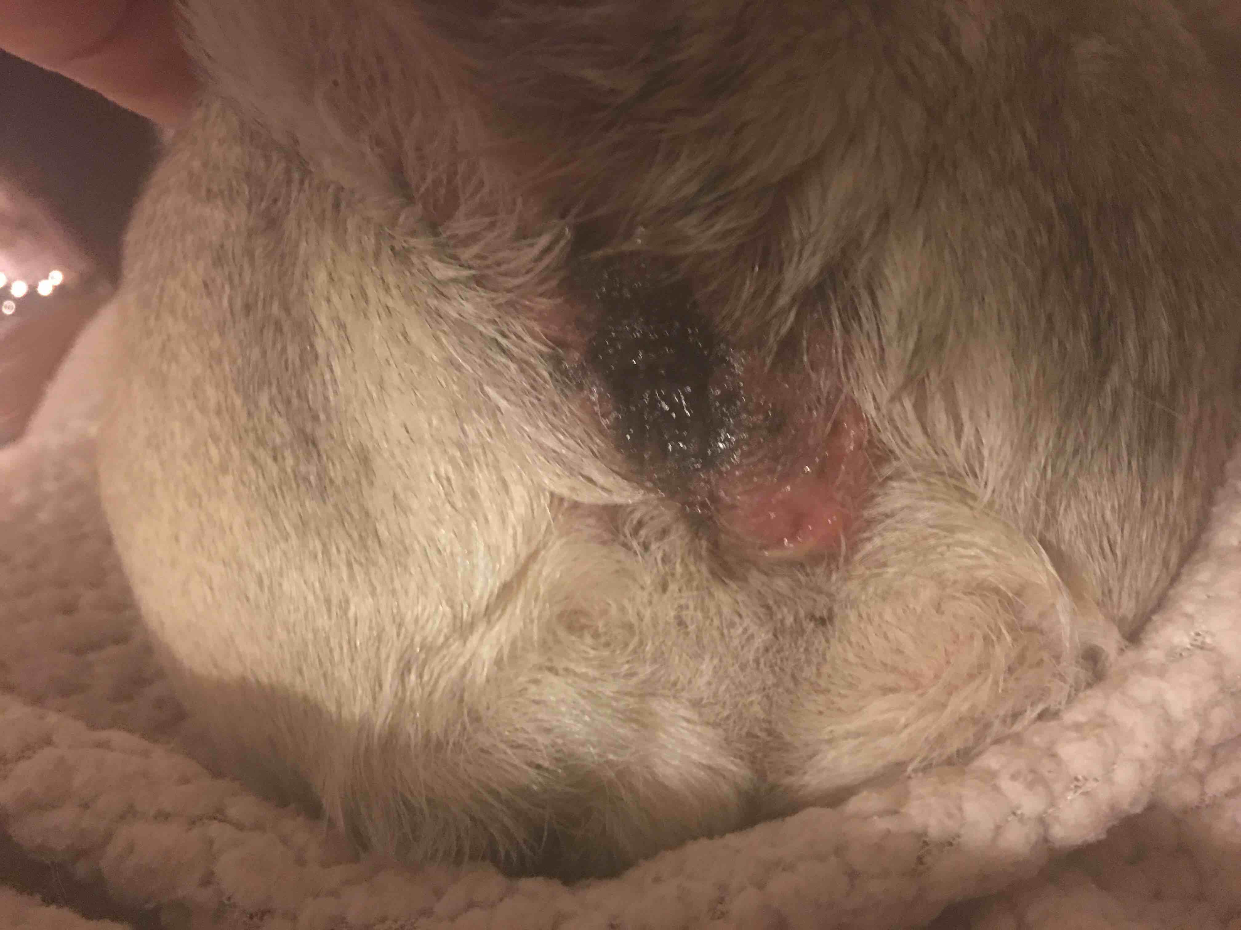 Question details sensitive content