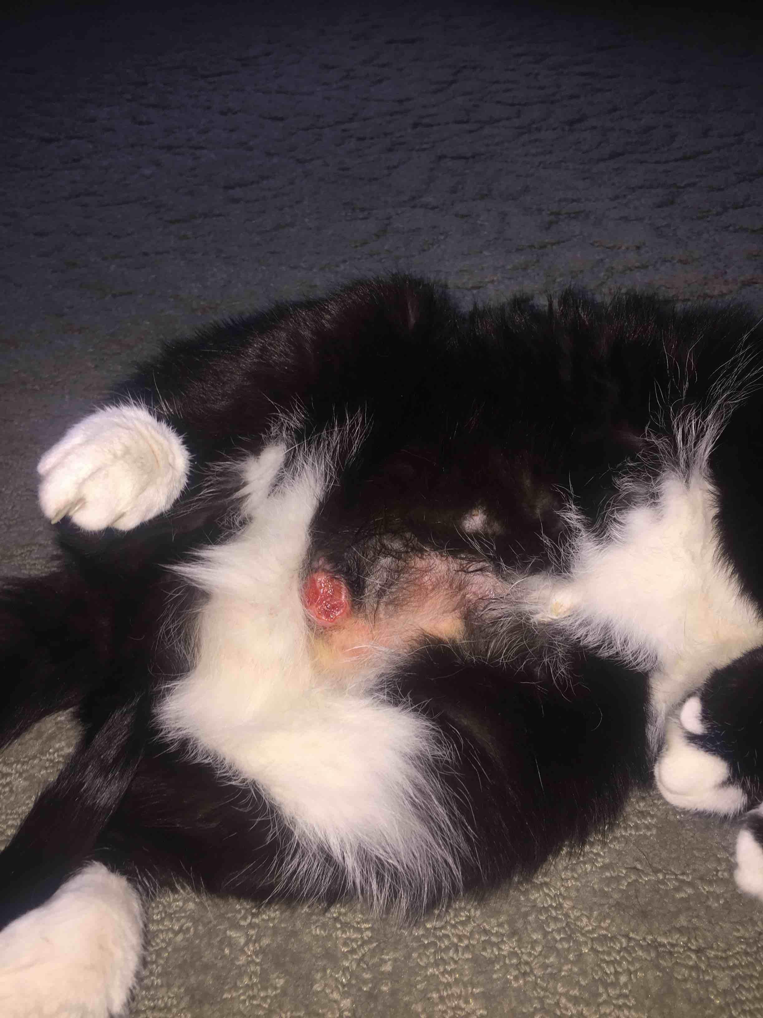 Question details sensitive content