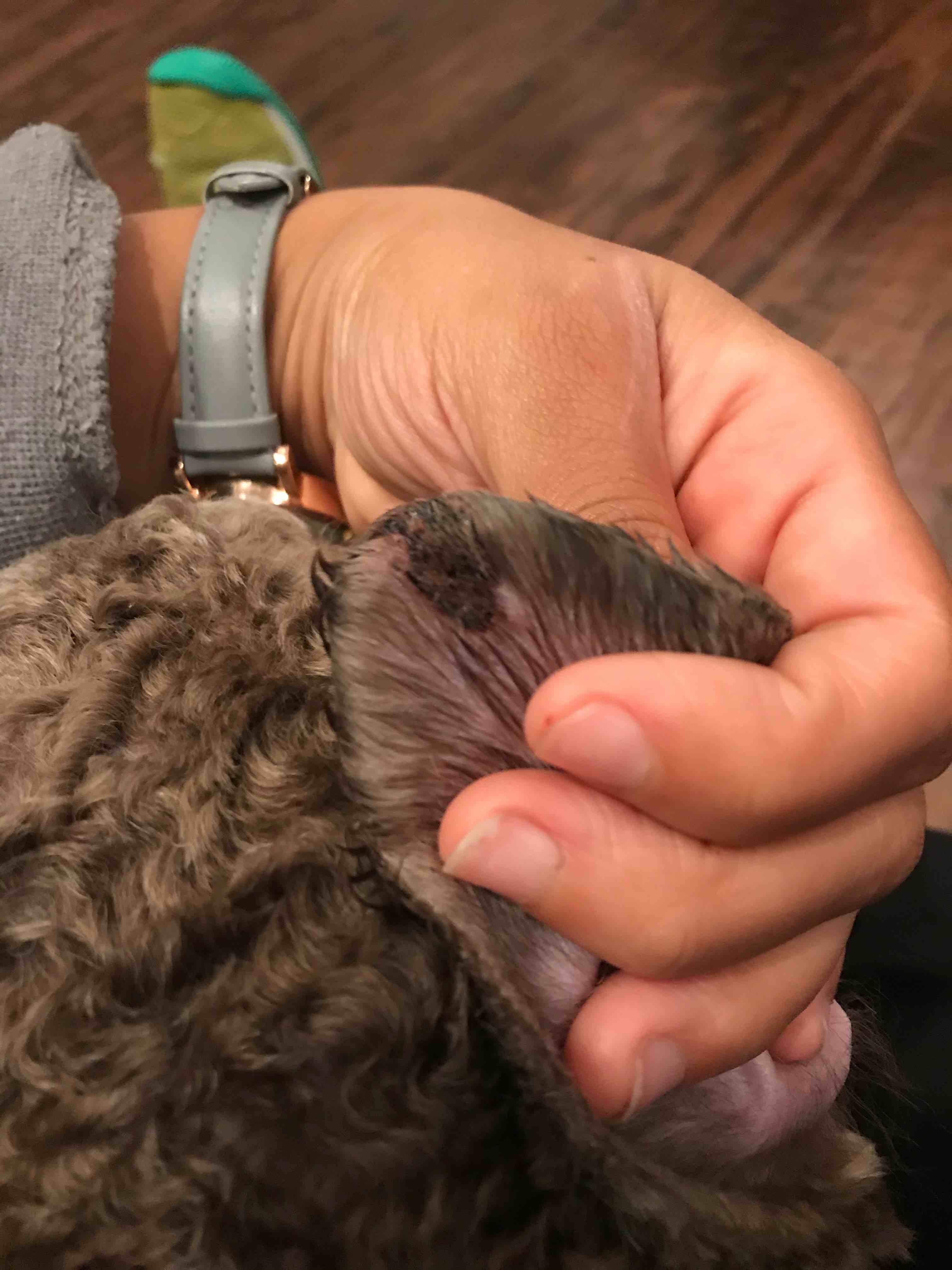 Question details sensitive content