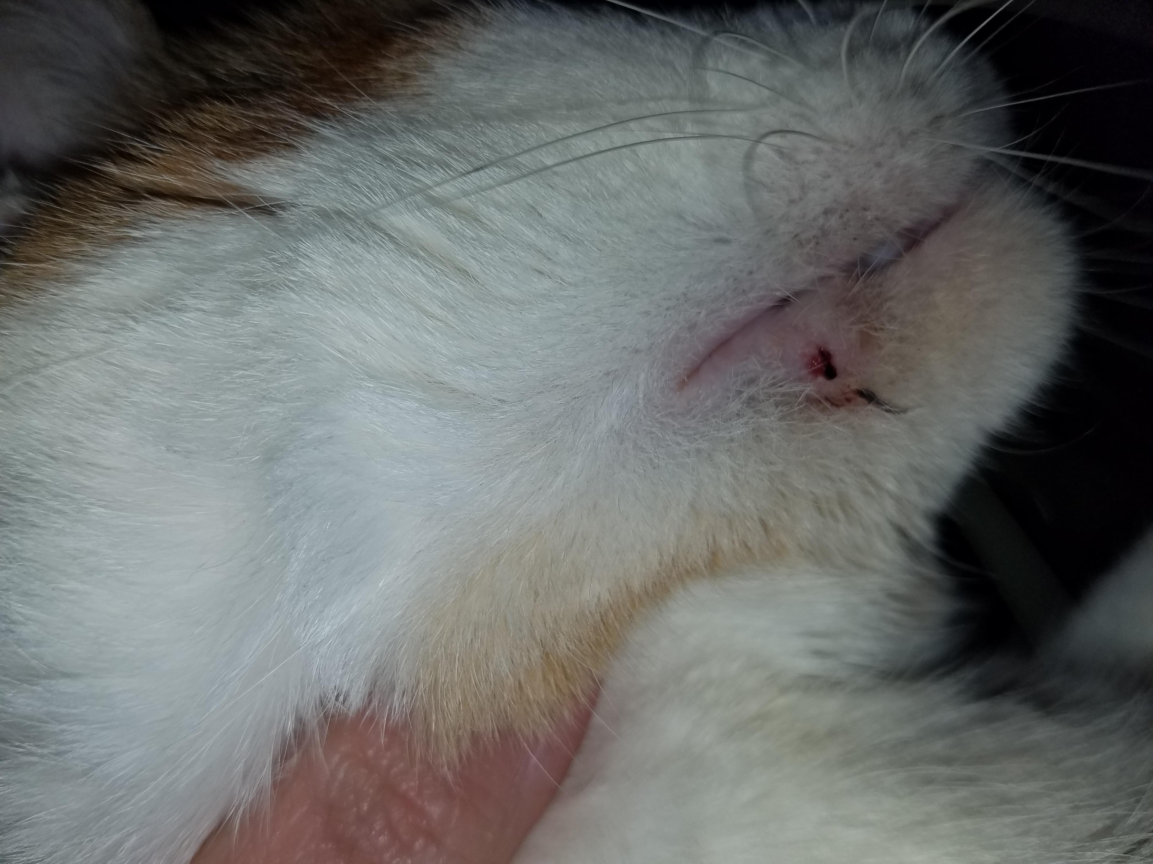 Question details sensitive content