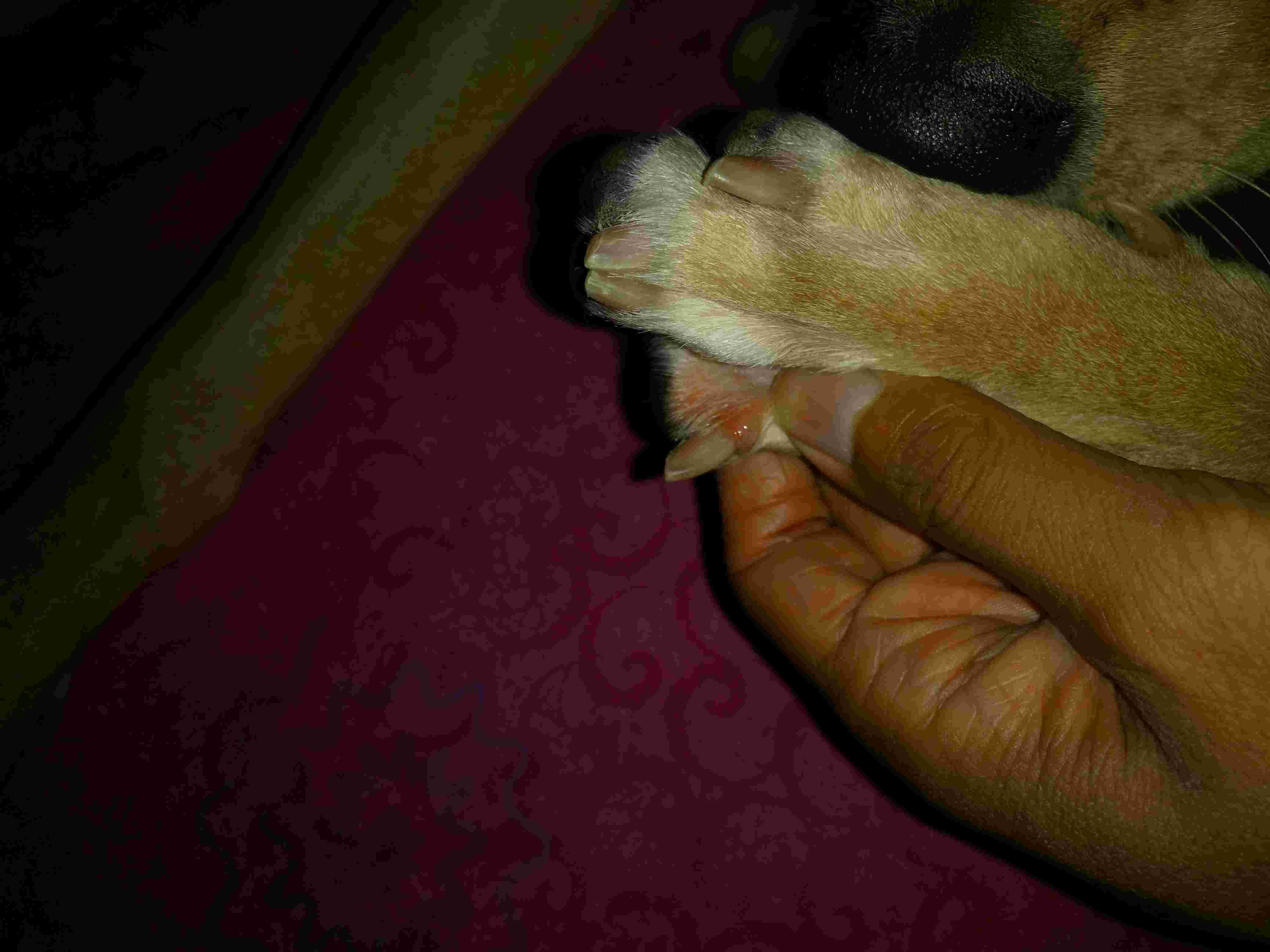 Question details sensitive content