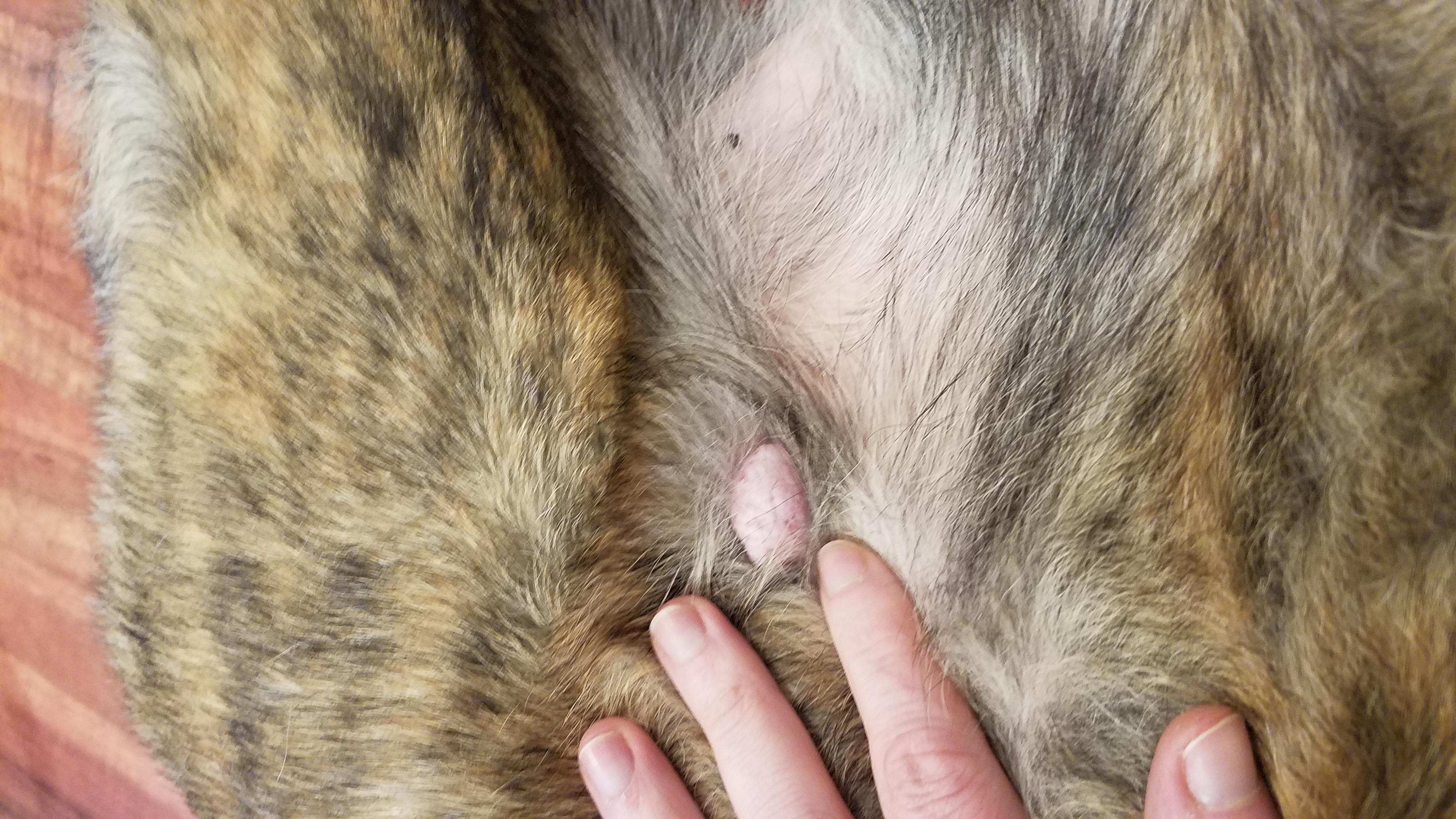 Question details sensitive content