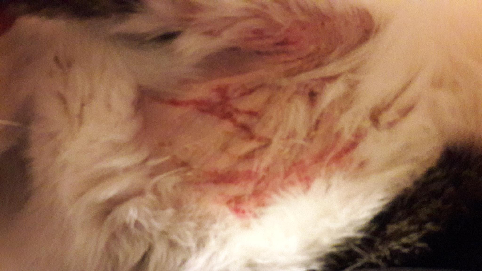 Question details sensitive content