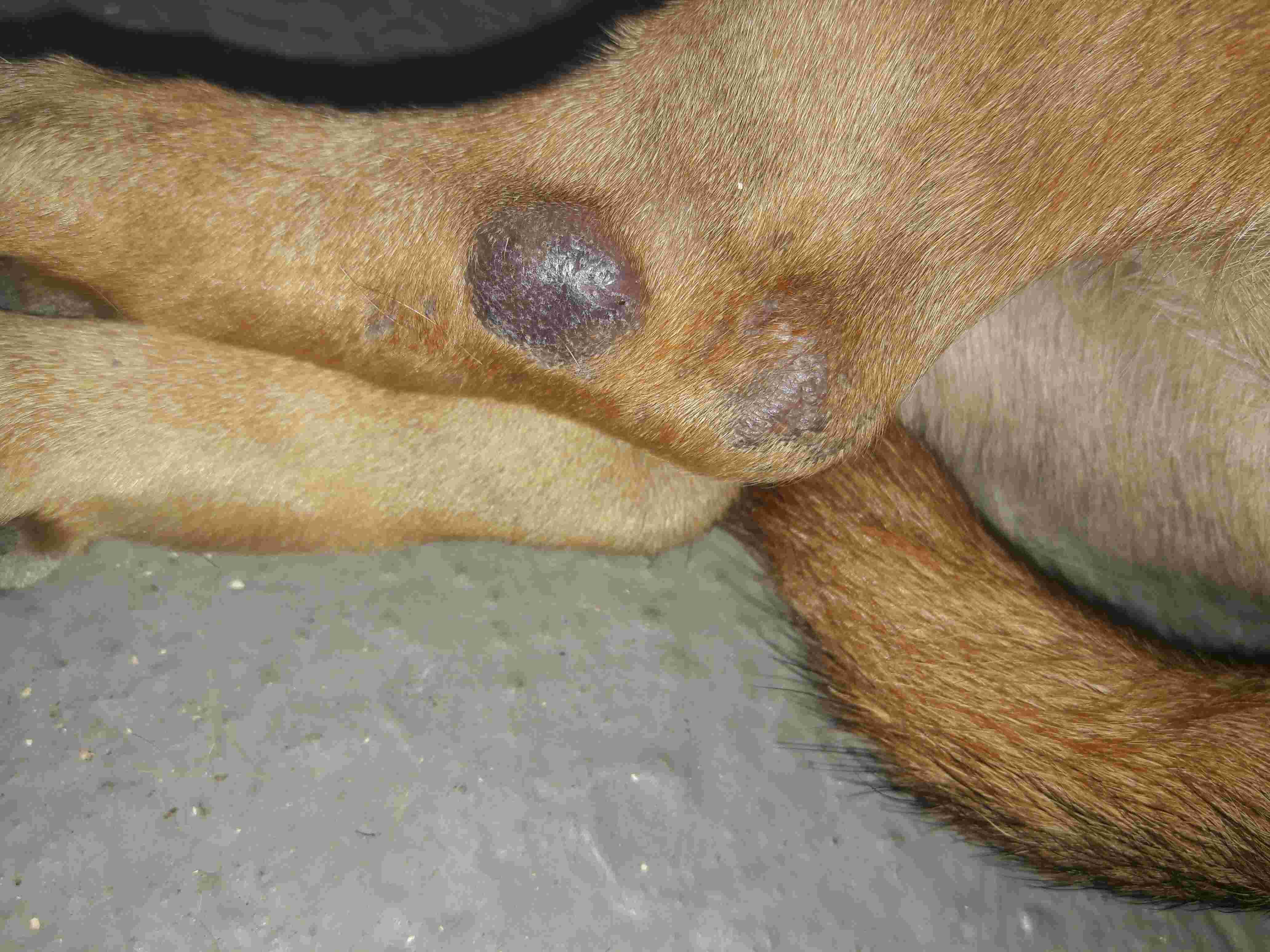 Question details sensitive content