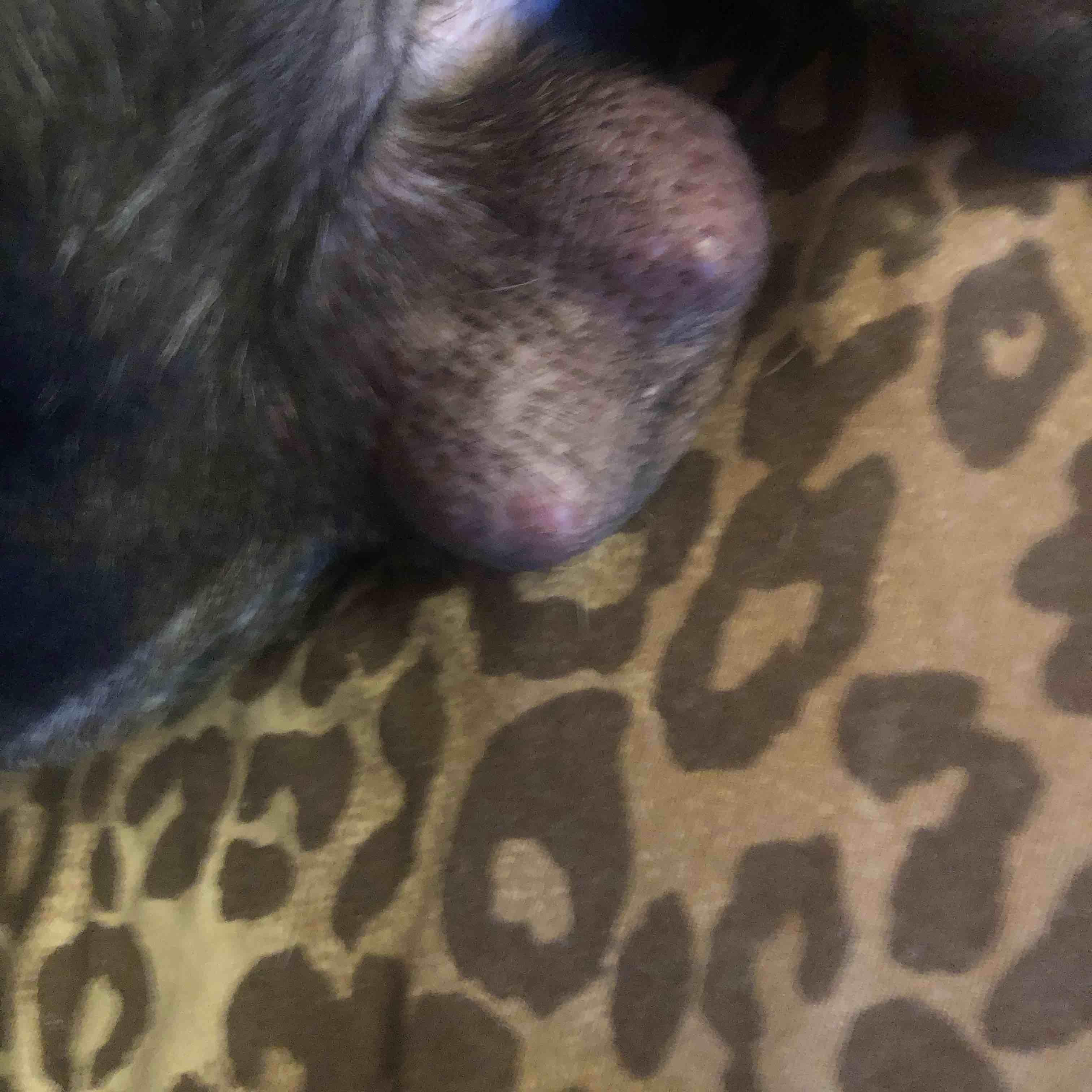 Question details sensitive content