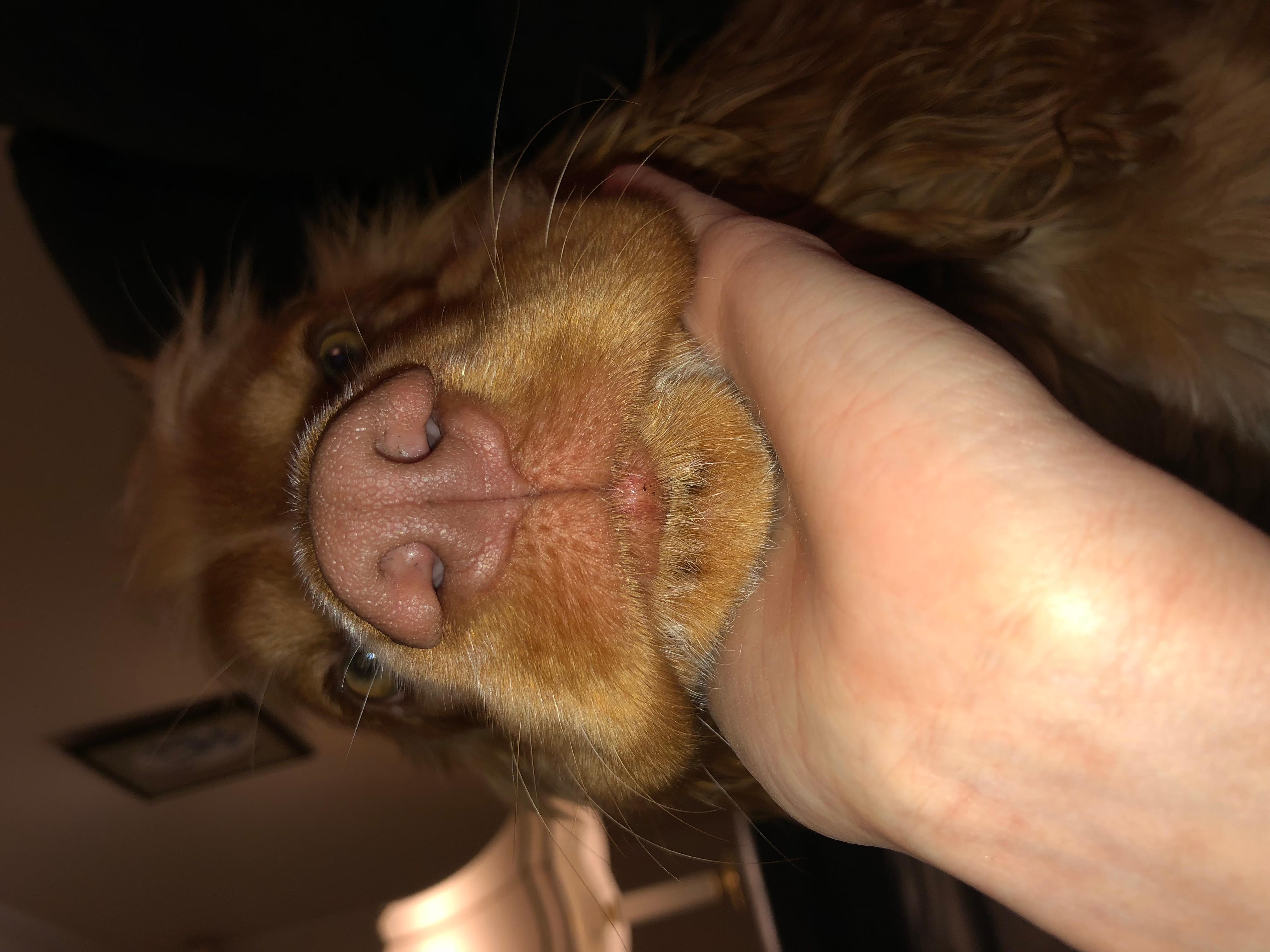 Question details sensitive content