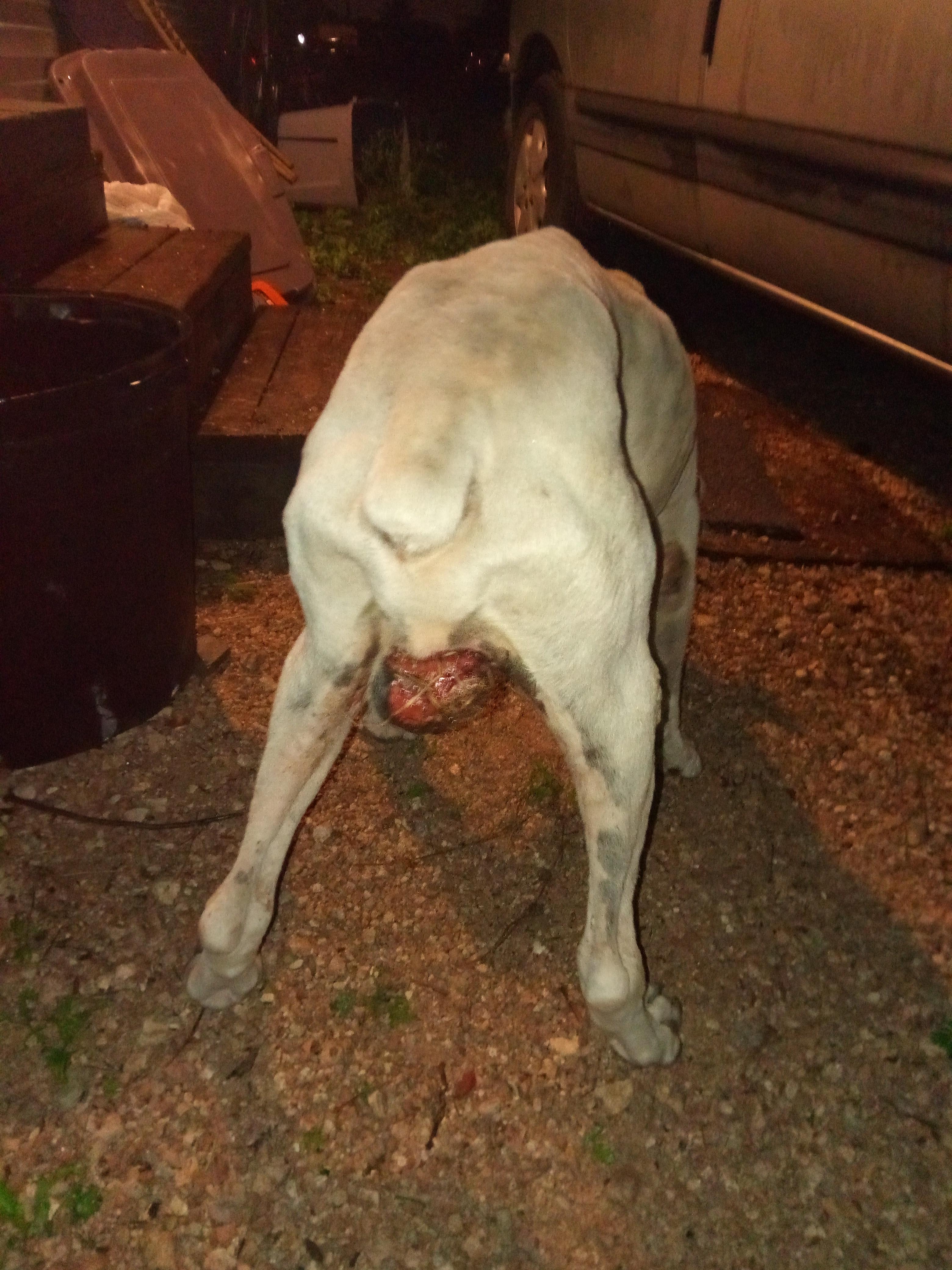 Question details sensitive content