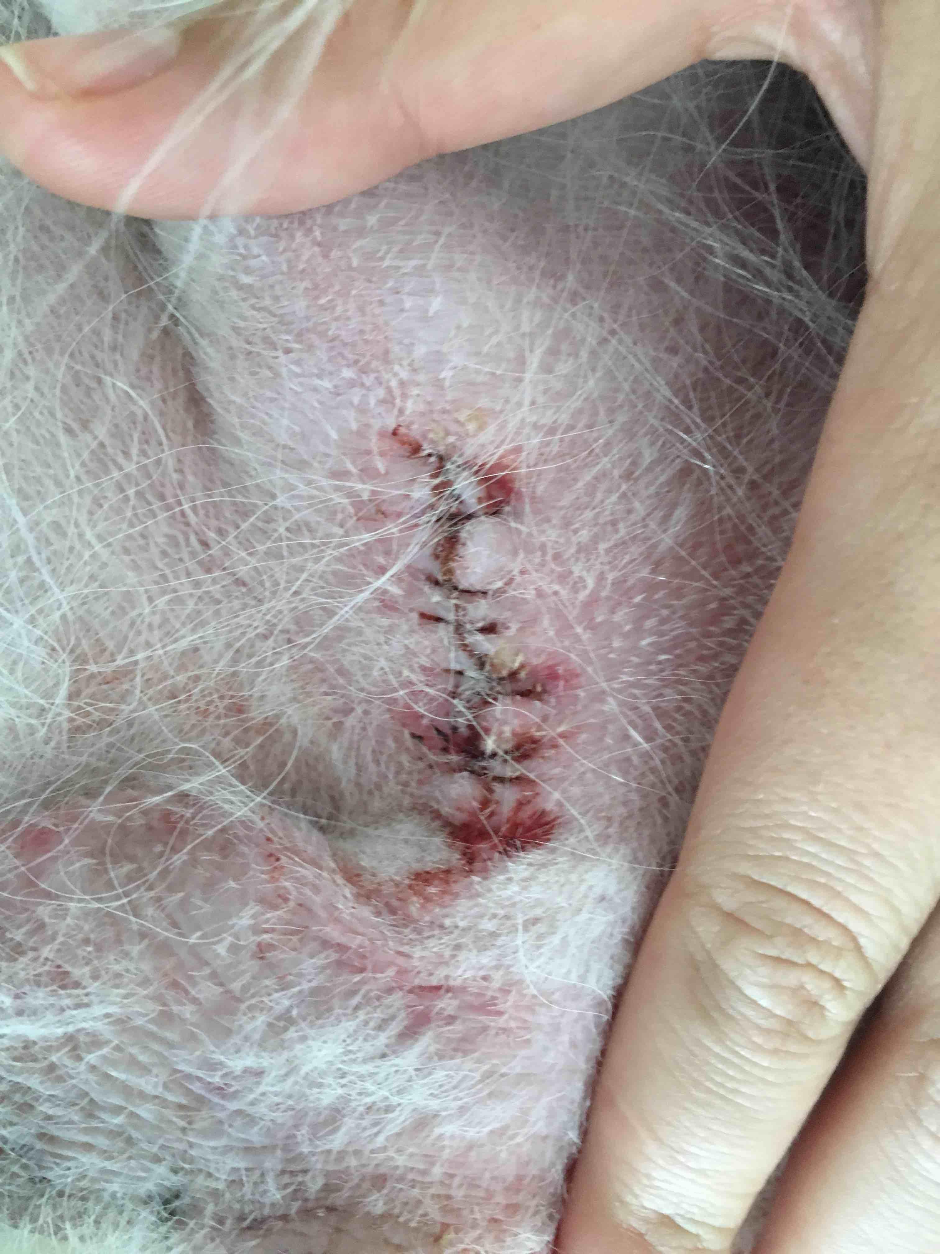 Question details sensitive content