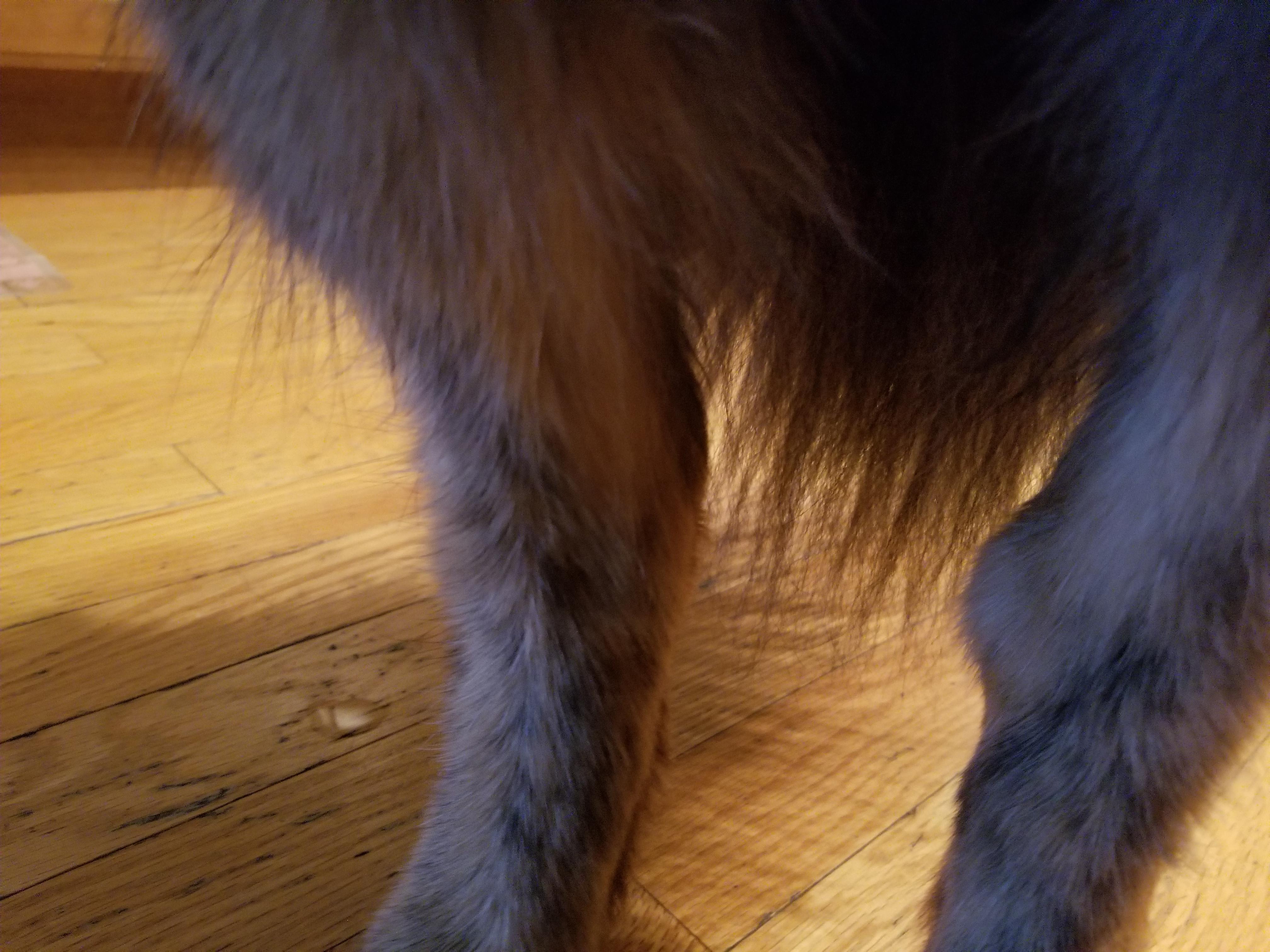 Question details sensitive content