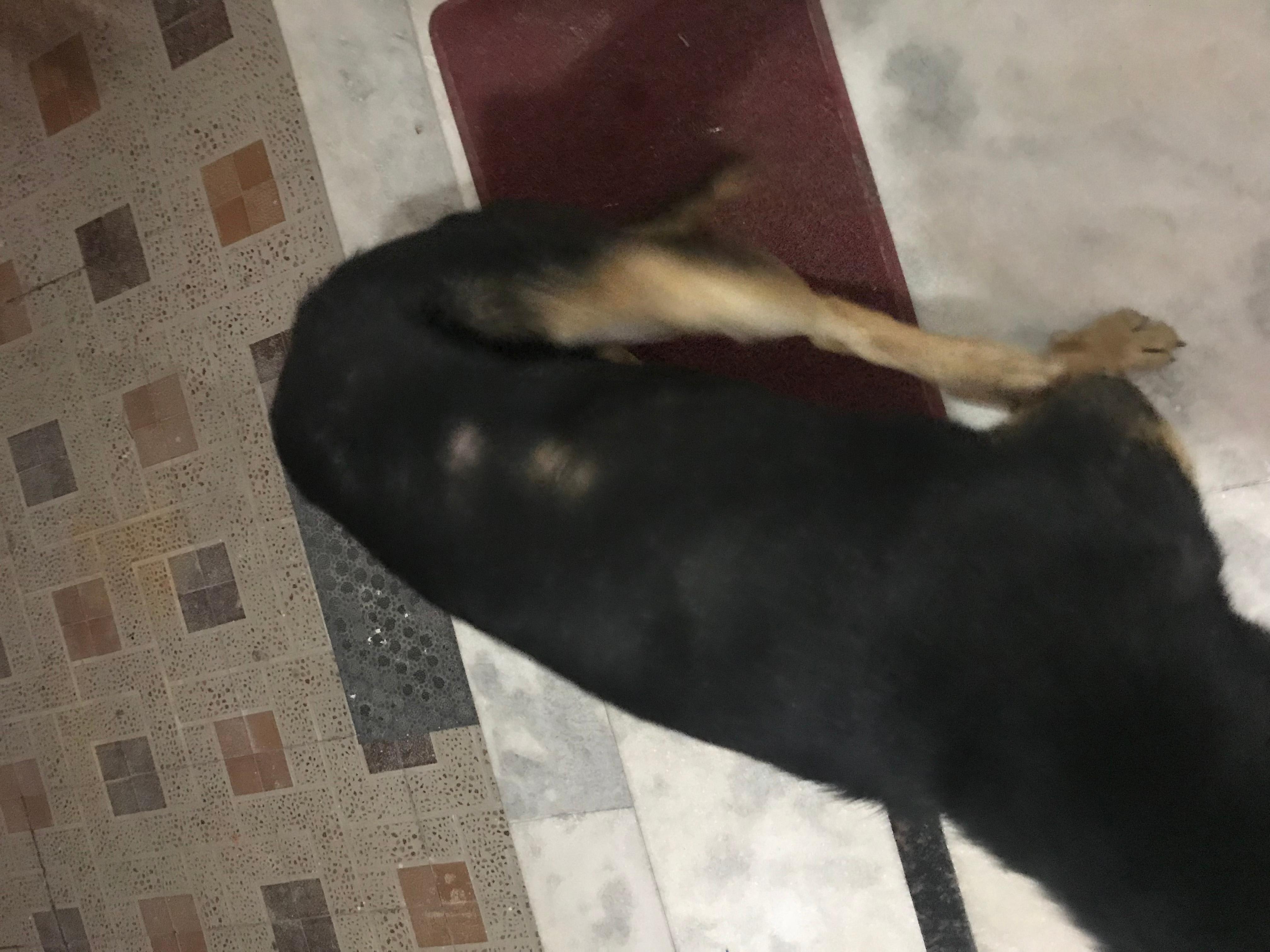 Question details sensitive content