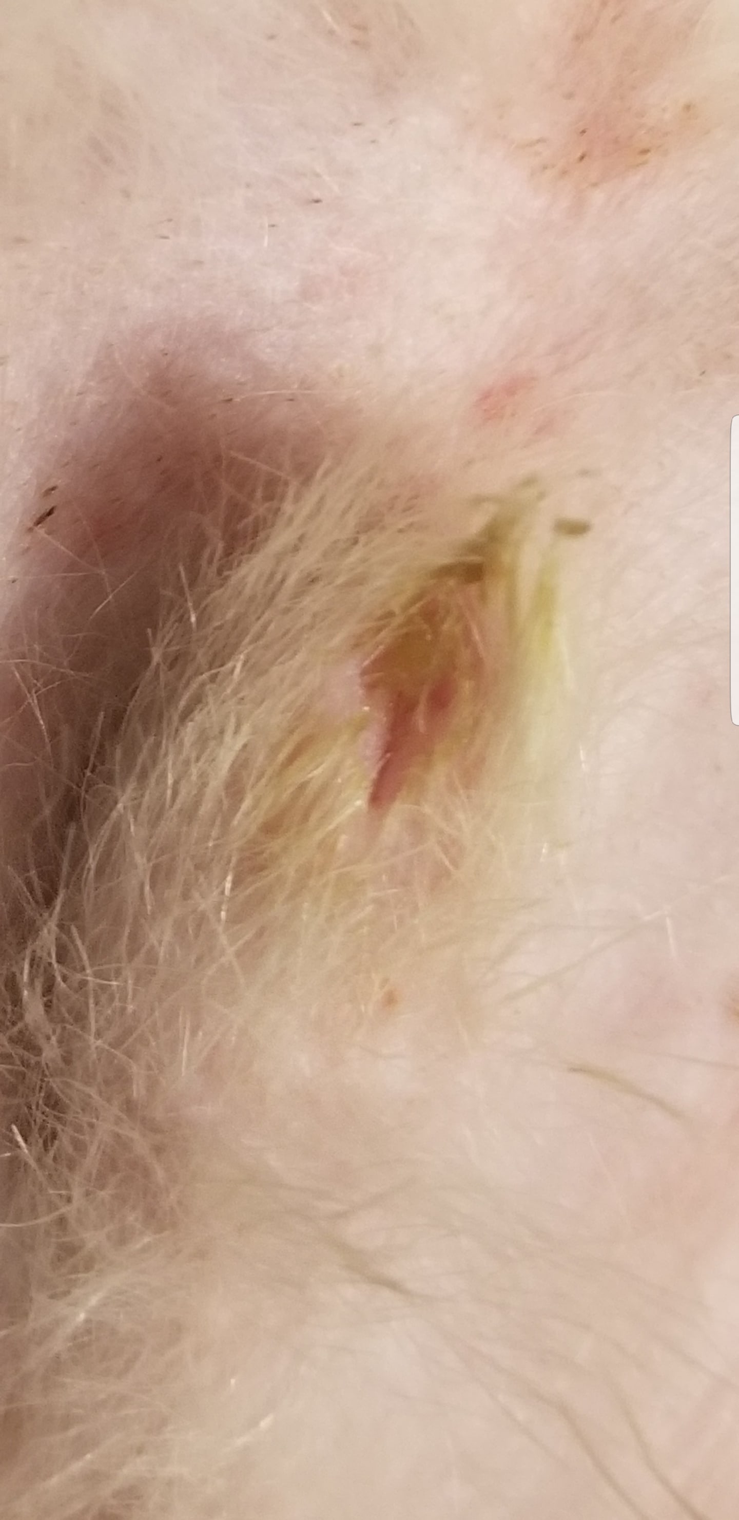 Question details sensitive content