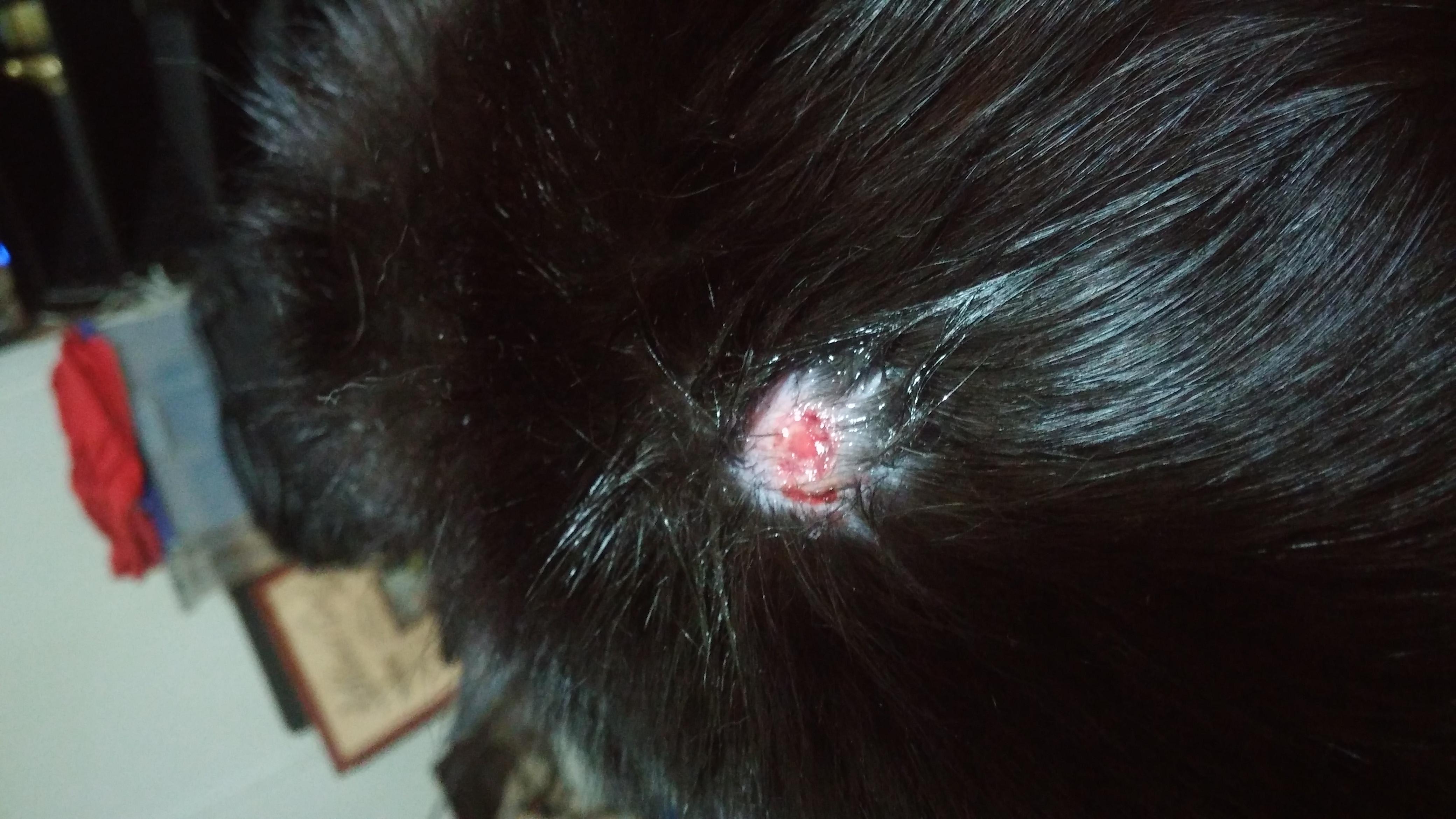 Question details sensitive content