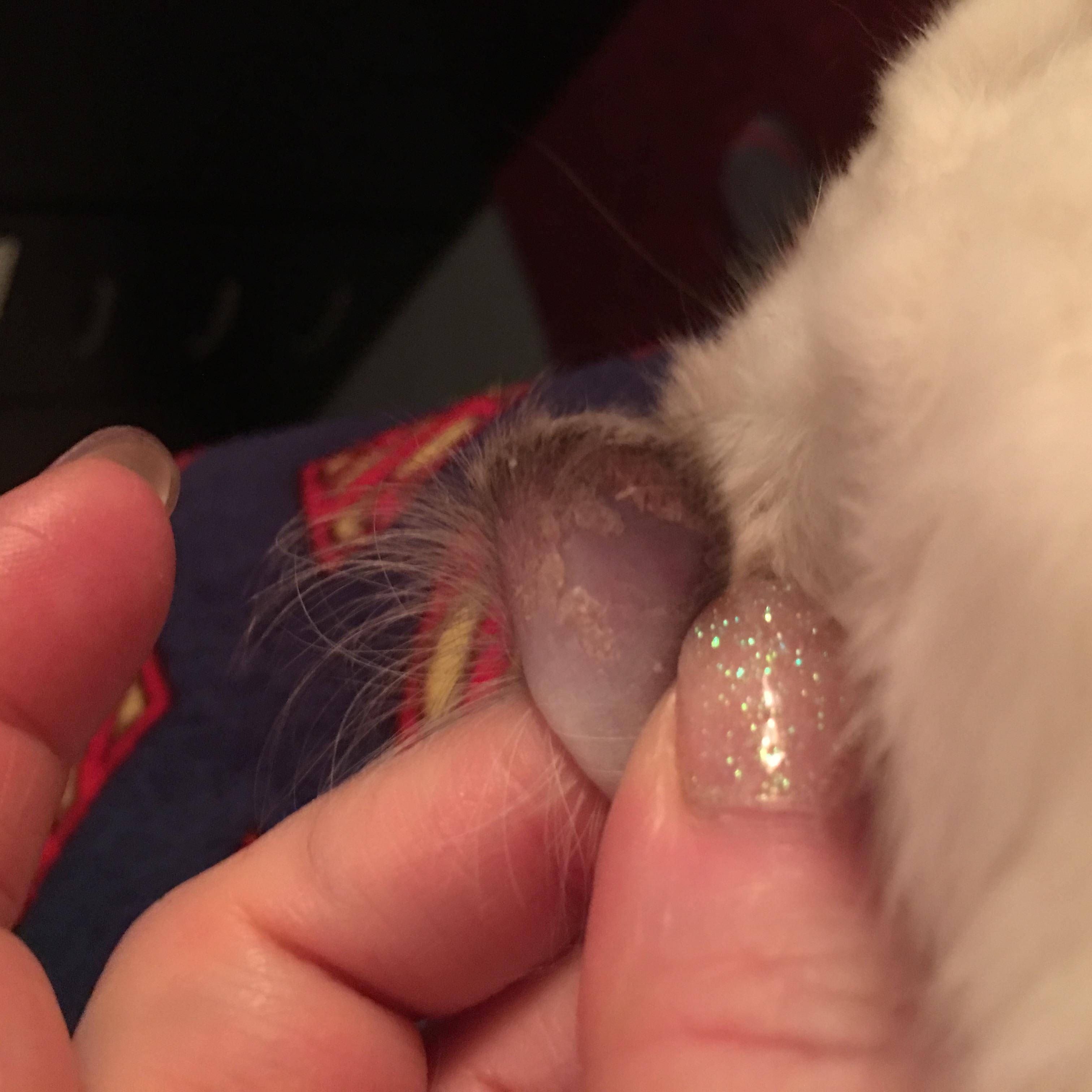 Question details sensitive content