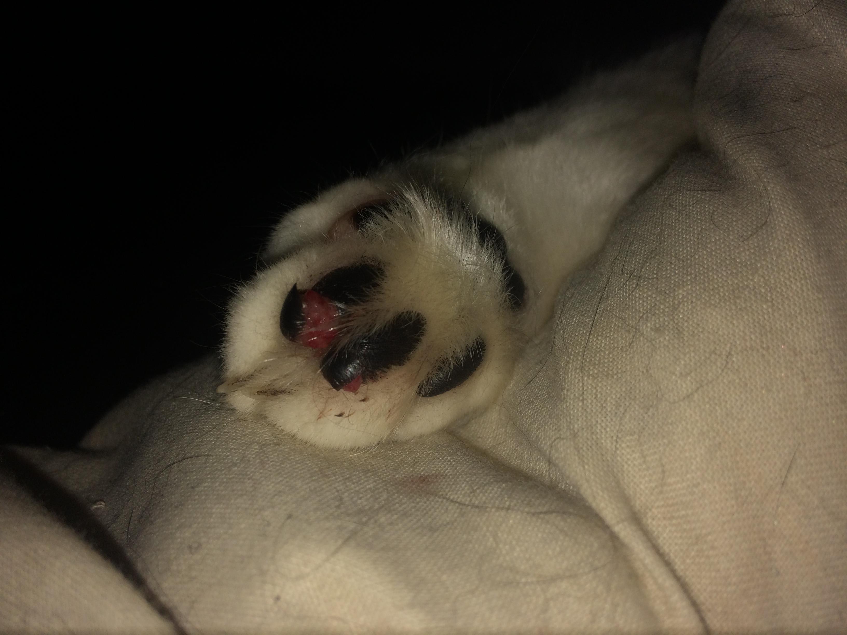 Question details sensitive content