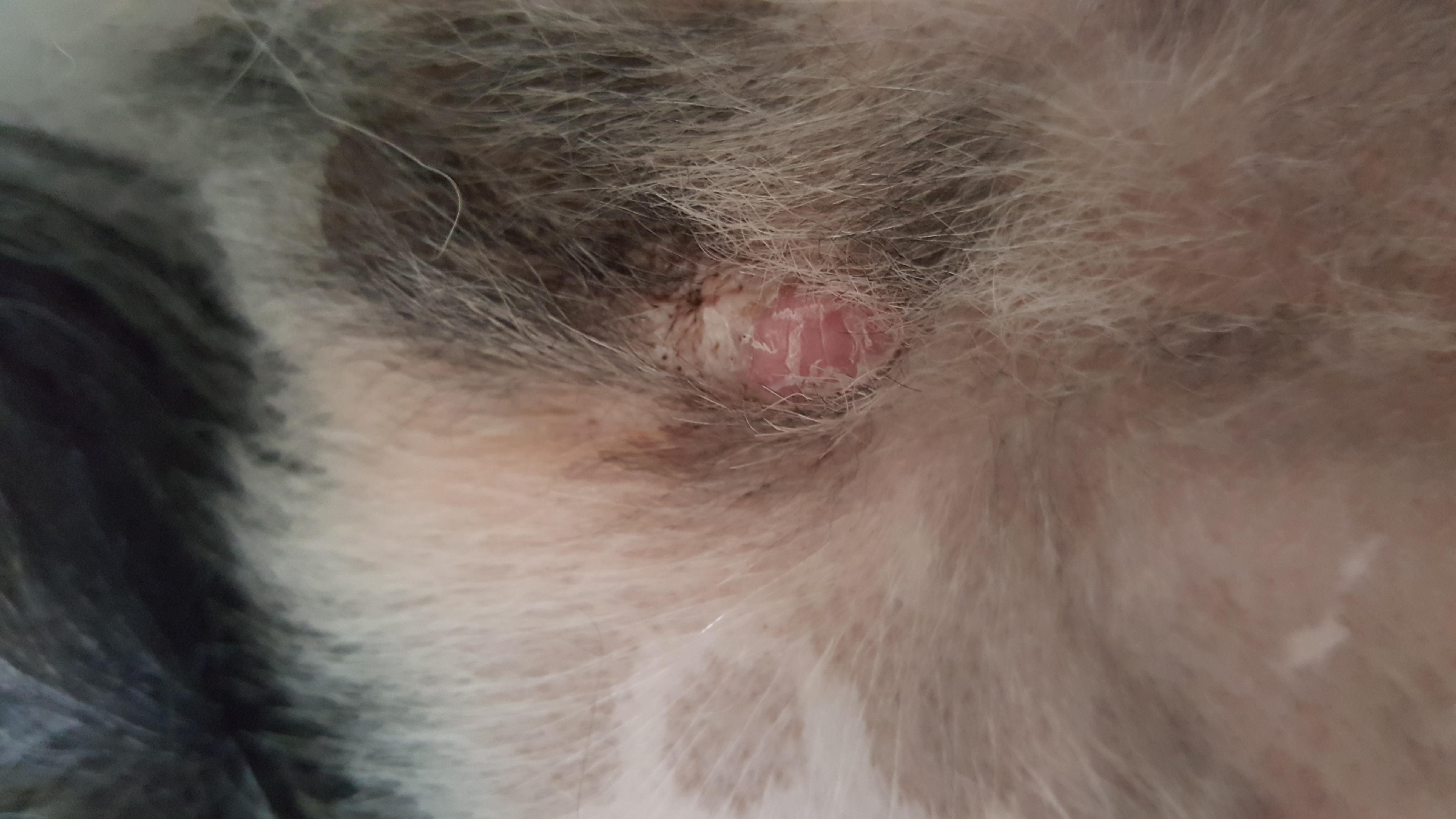 Question details sensitive content