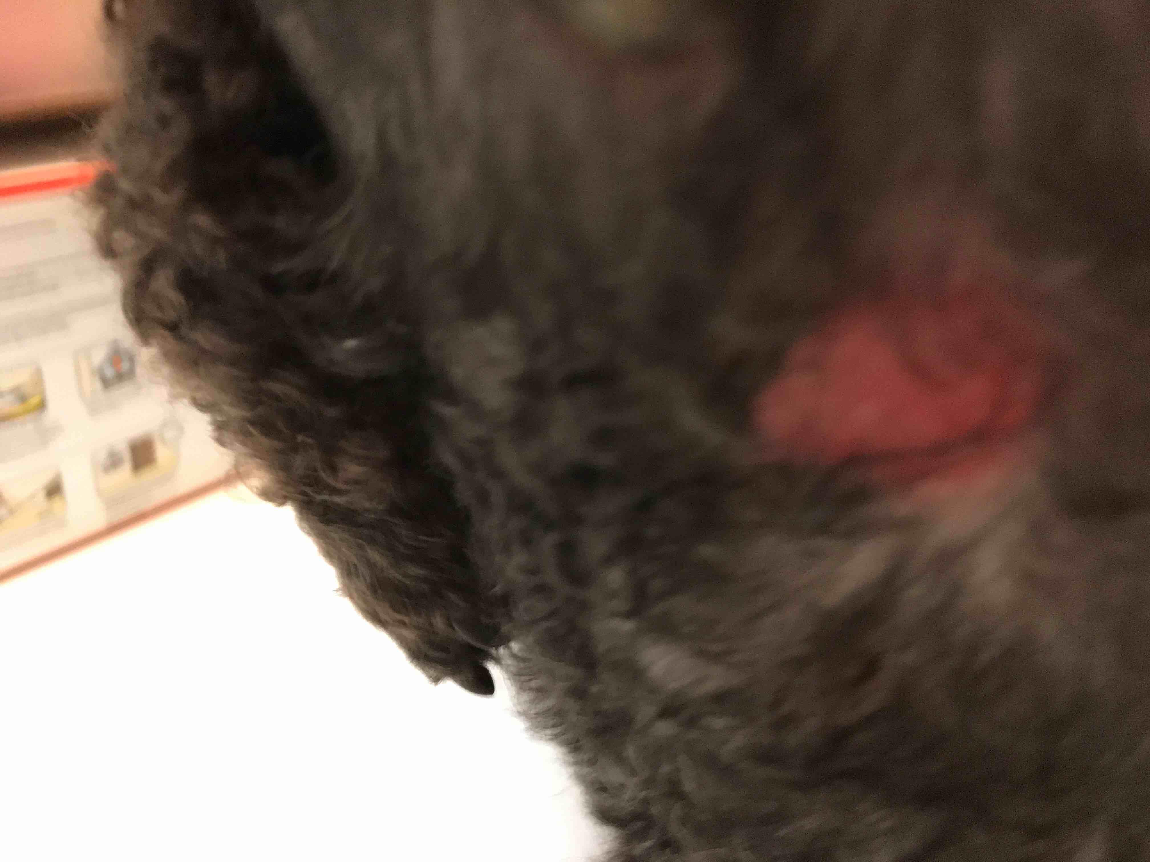 Question details sensitive content