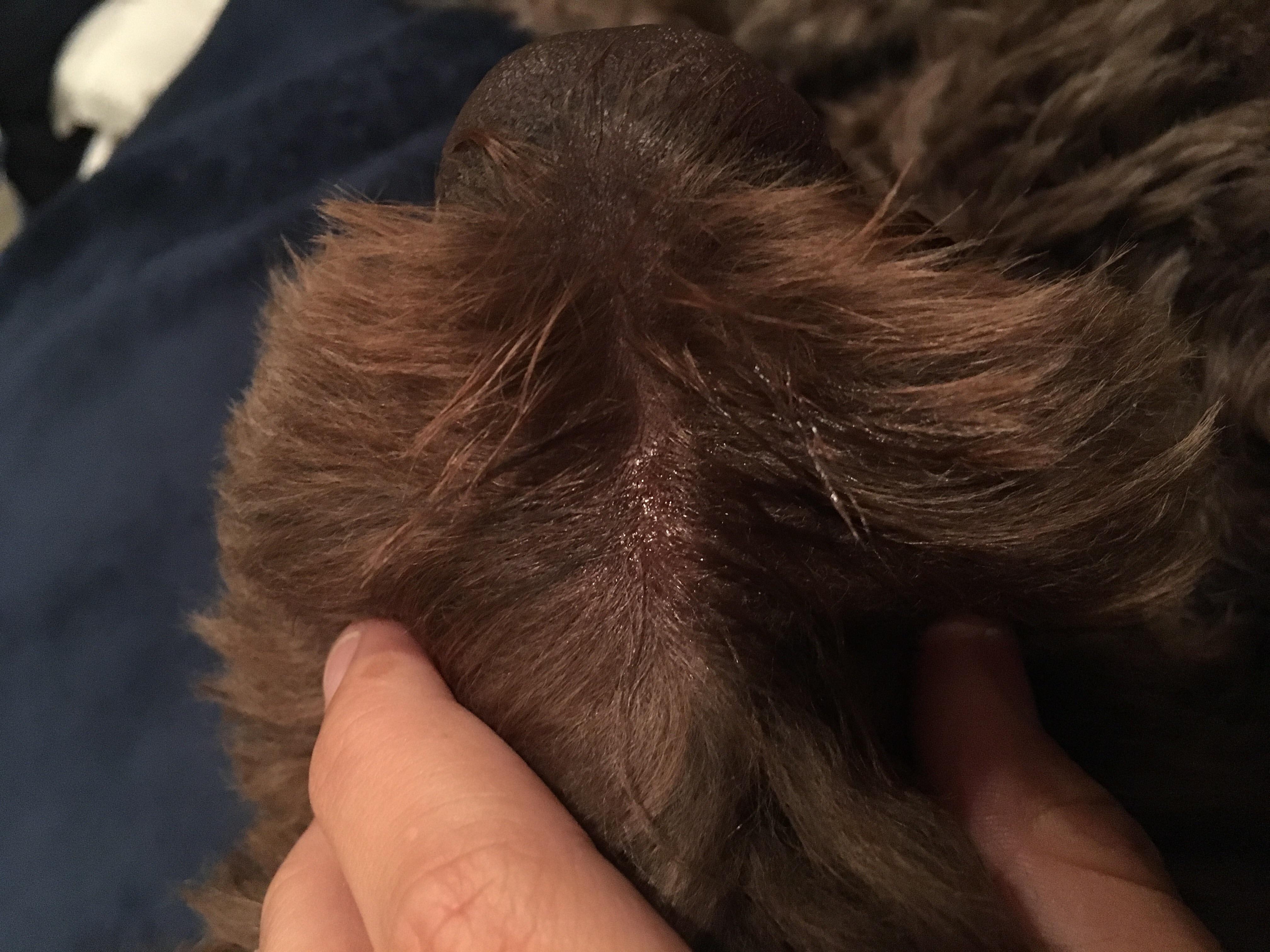 Question details sensitive content