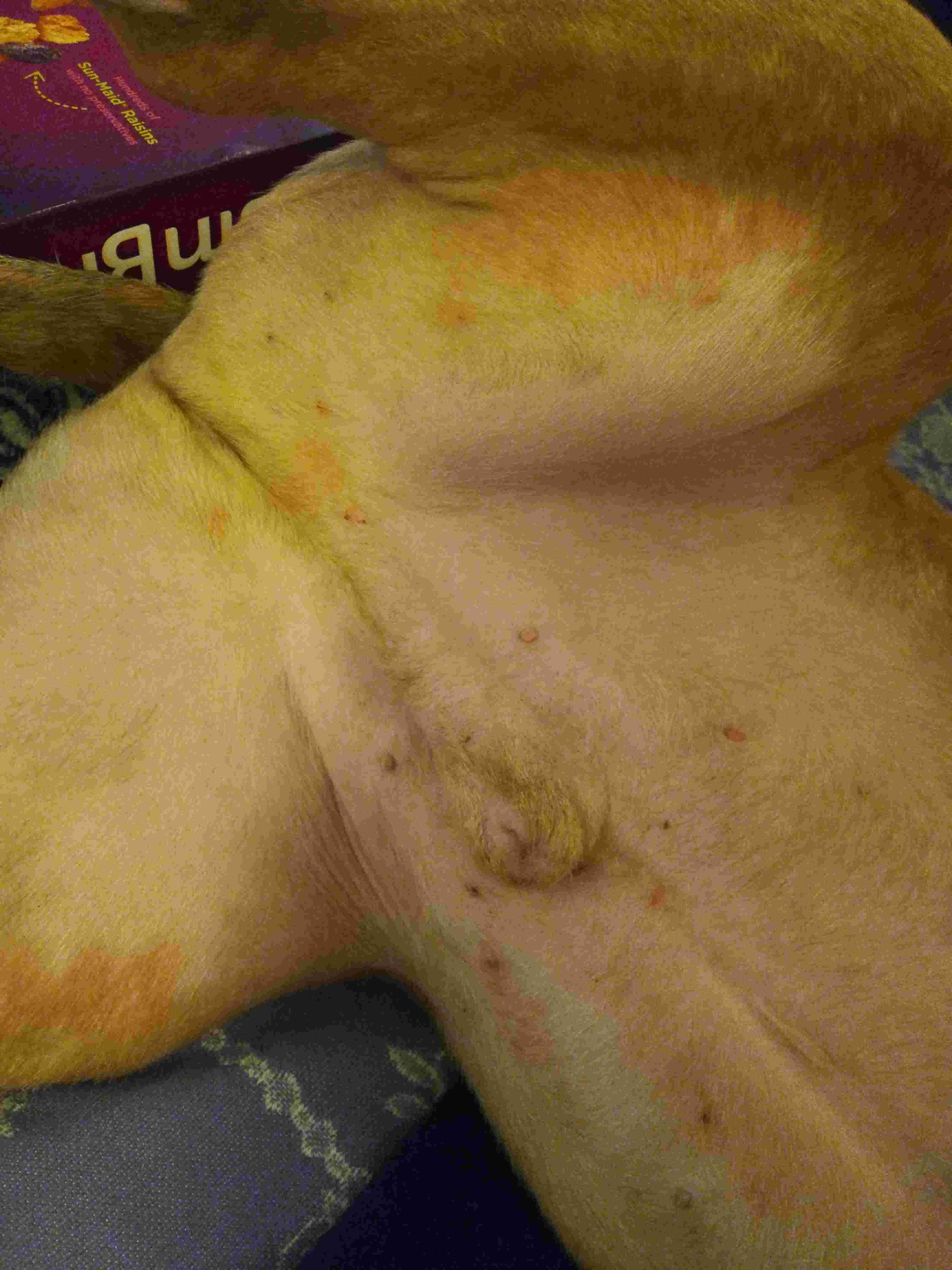 Question details sensitive content