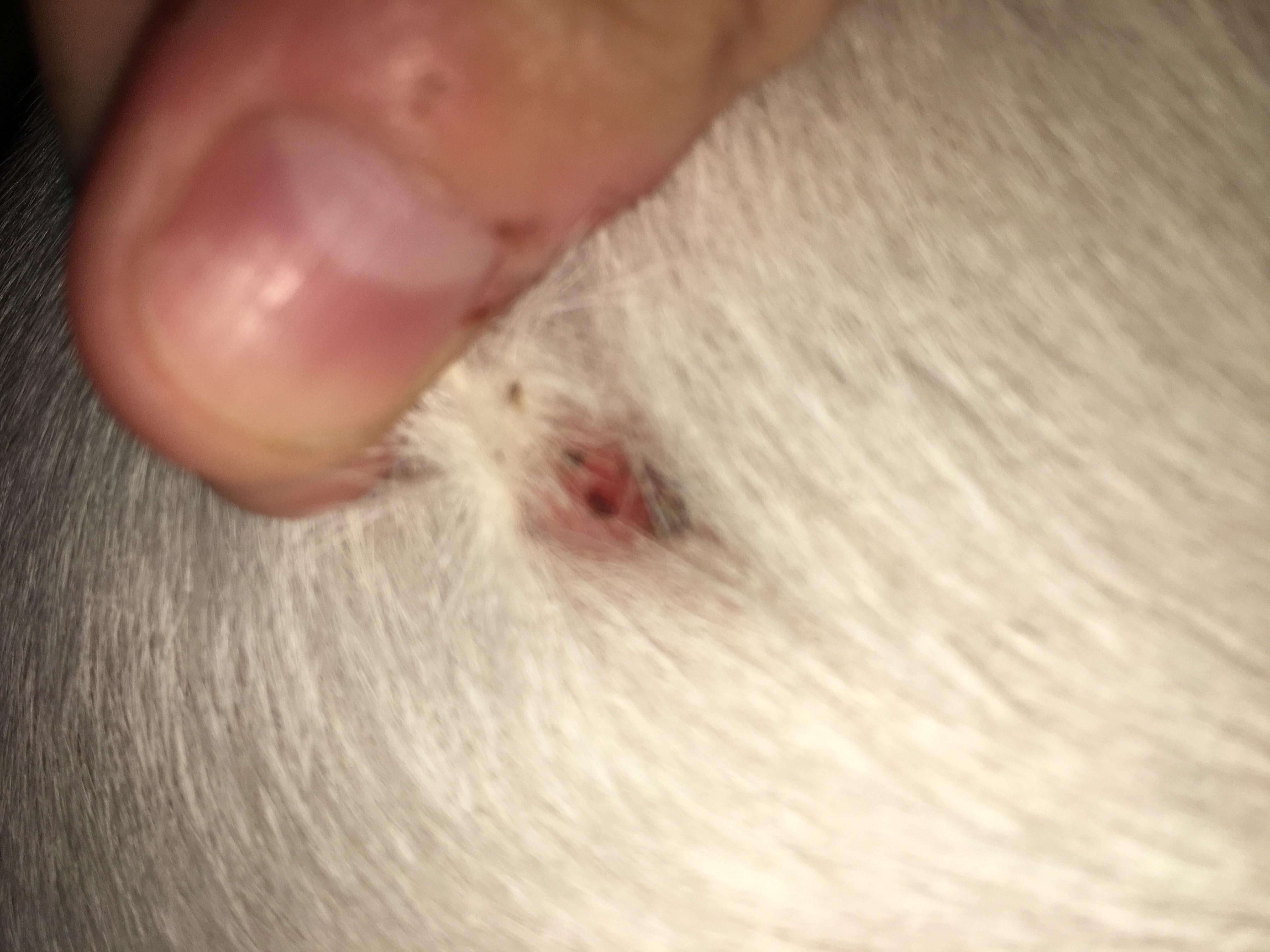 Question details sensitive content