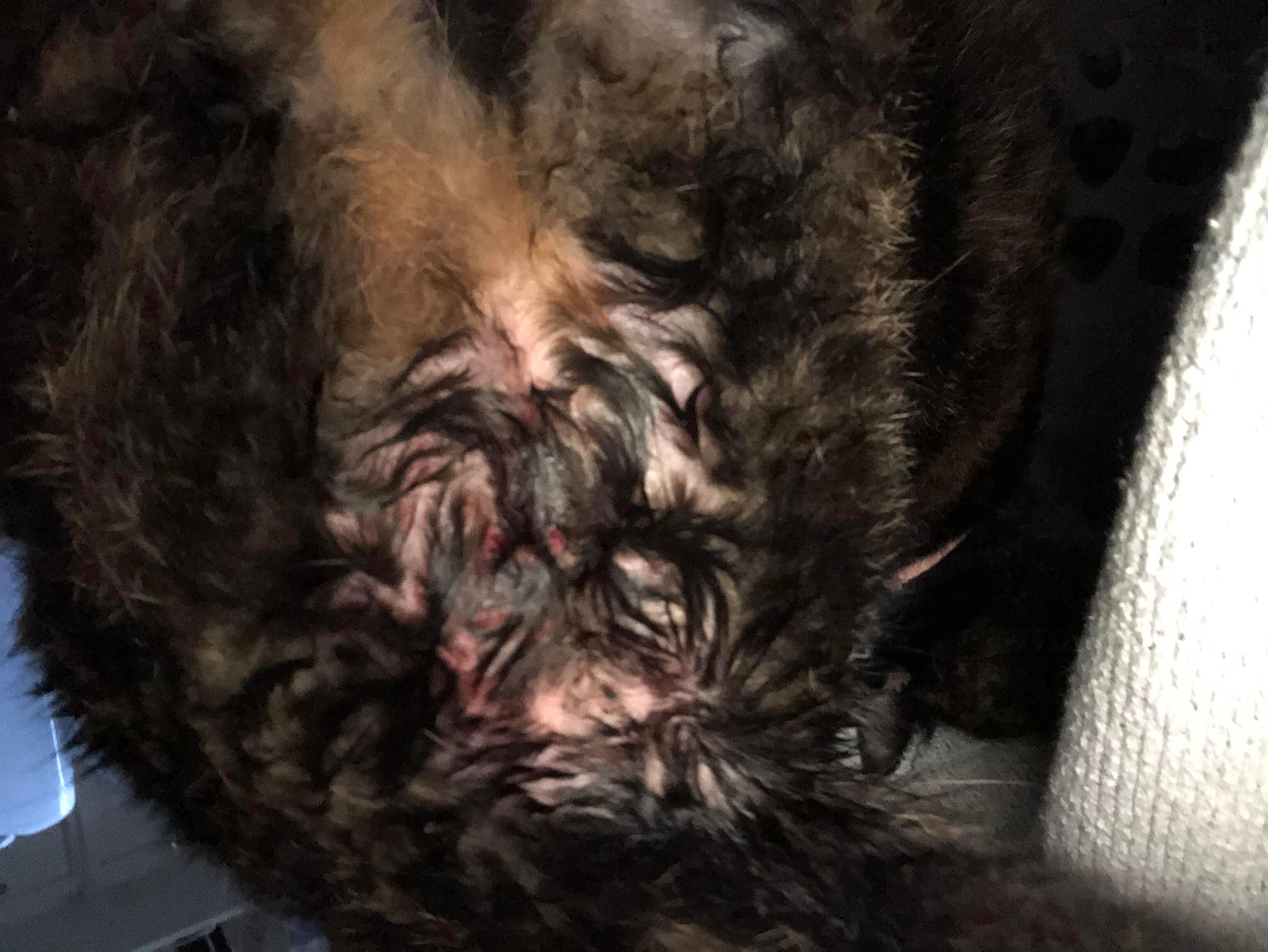 Question details sensitive content