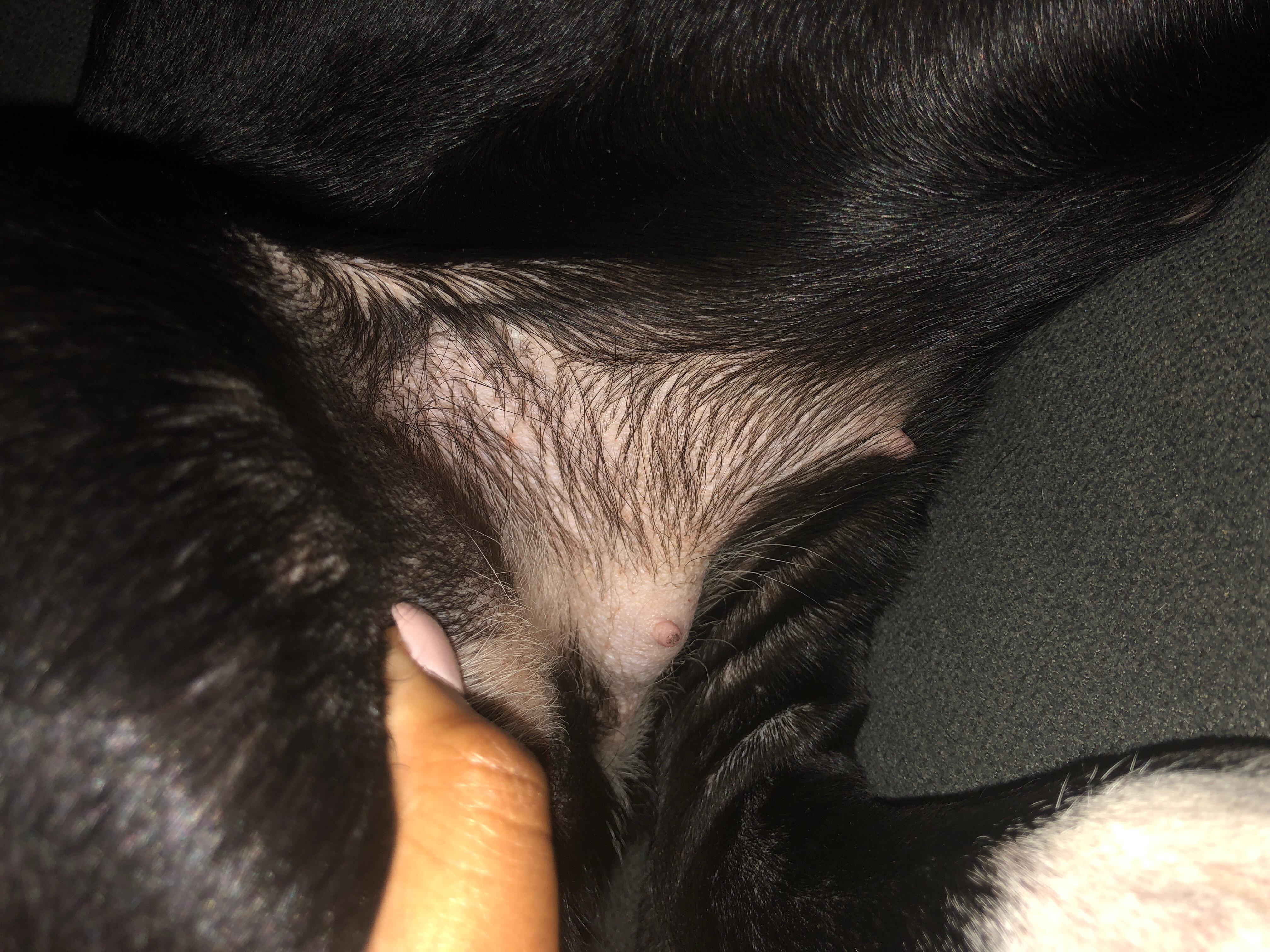 Question details sensitive content