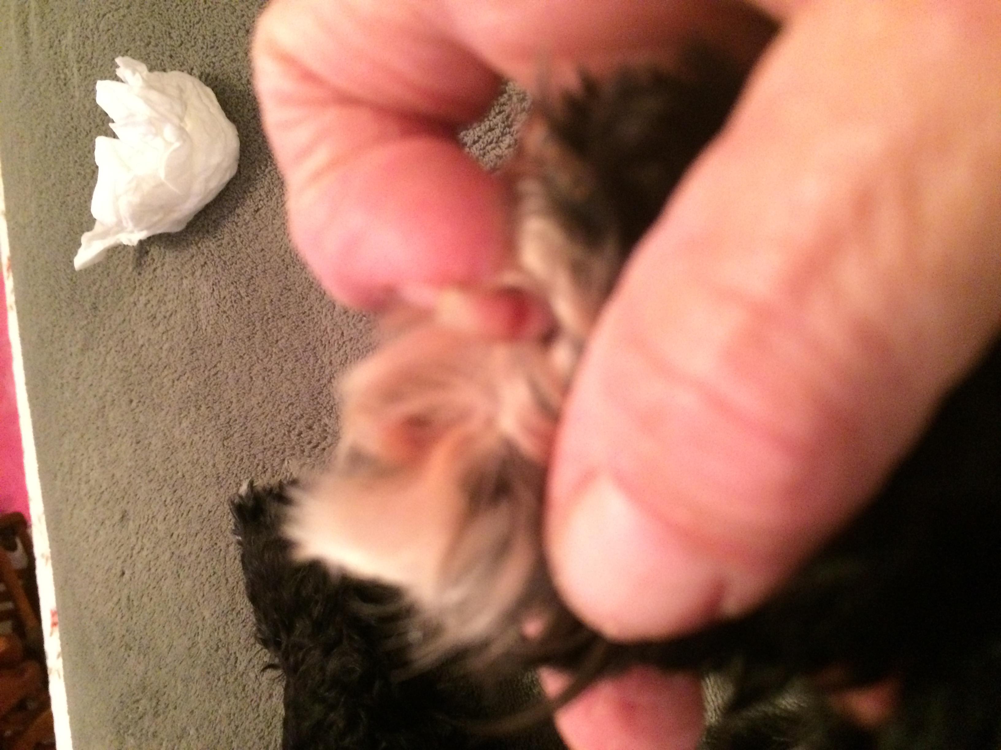 Question details sensitive content