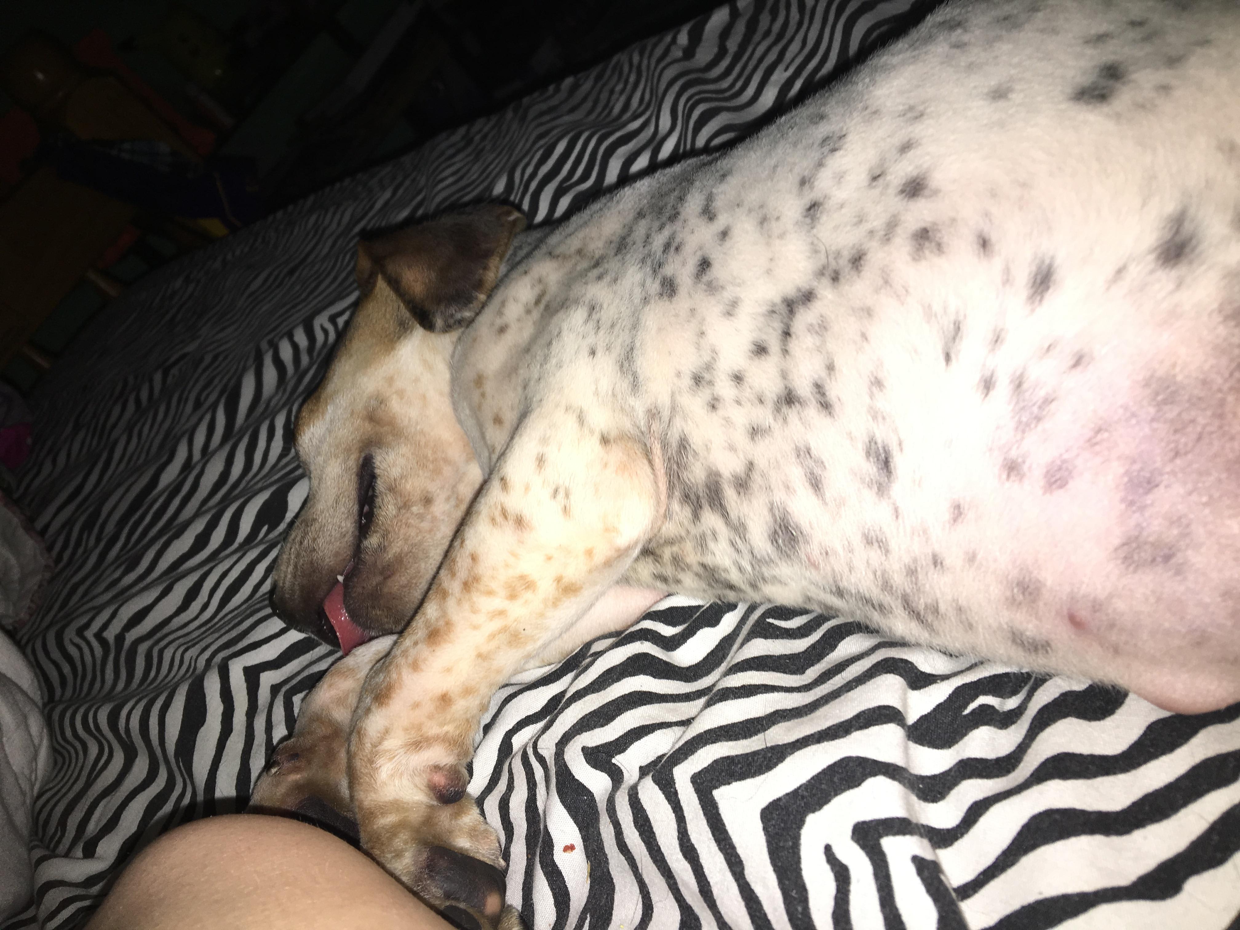 Question details sensitive content